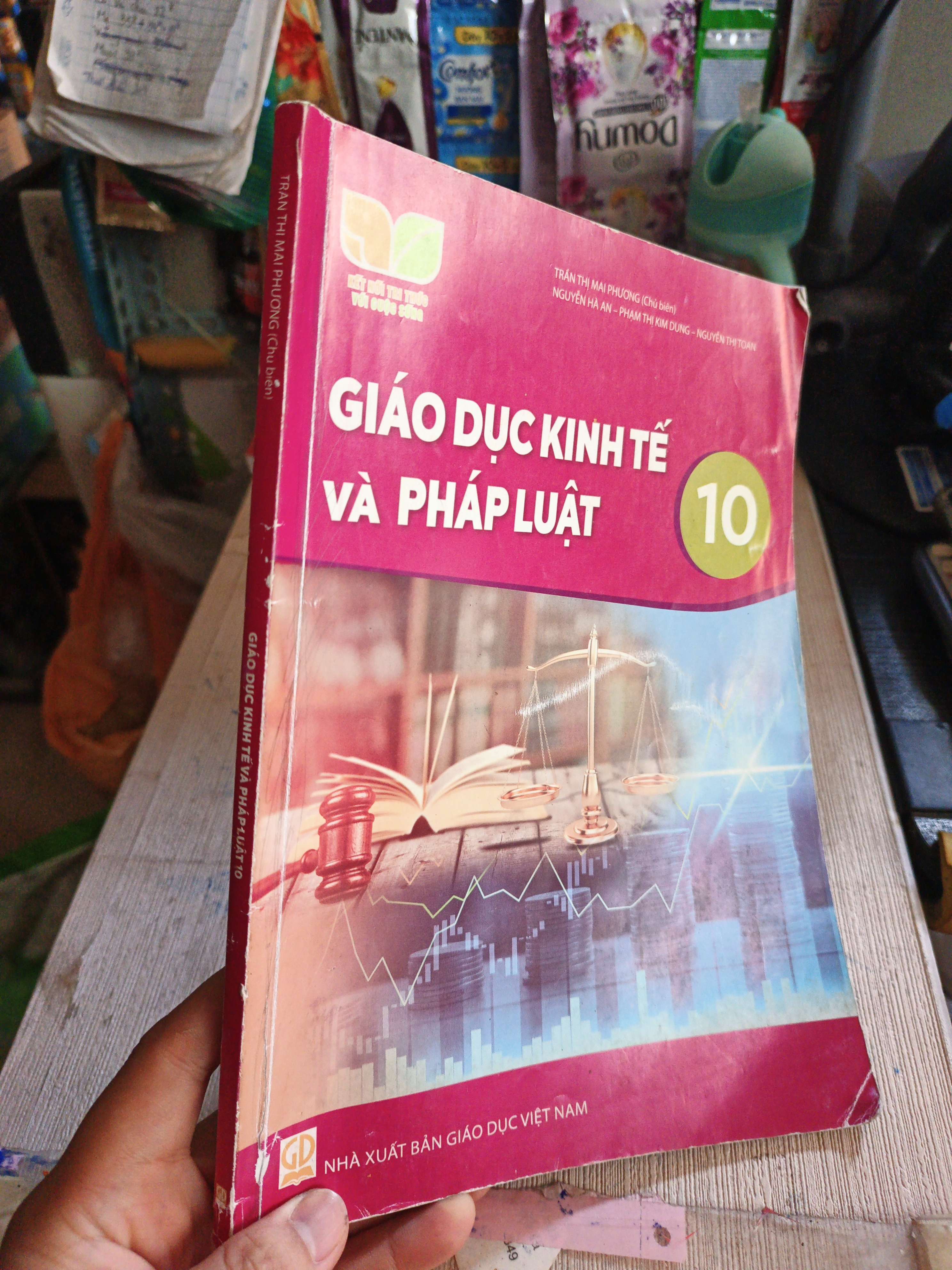 Giáo Dục Kinh Tế Và Pháp Luật 10 - Trần Thị Mai Phương, Nguyễn Hà An, Phạm Thị Kim Dung, Nguyễn Thị Toan Kết nối tri thức (Sách giáo khoa - giáo trình) HLSC