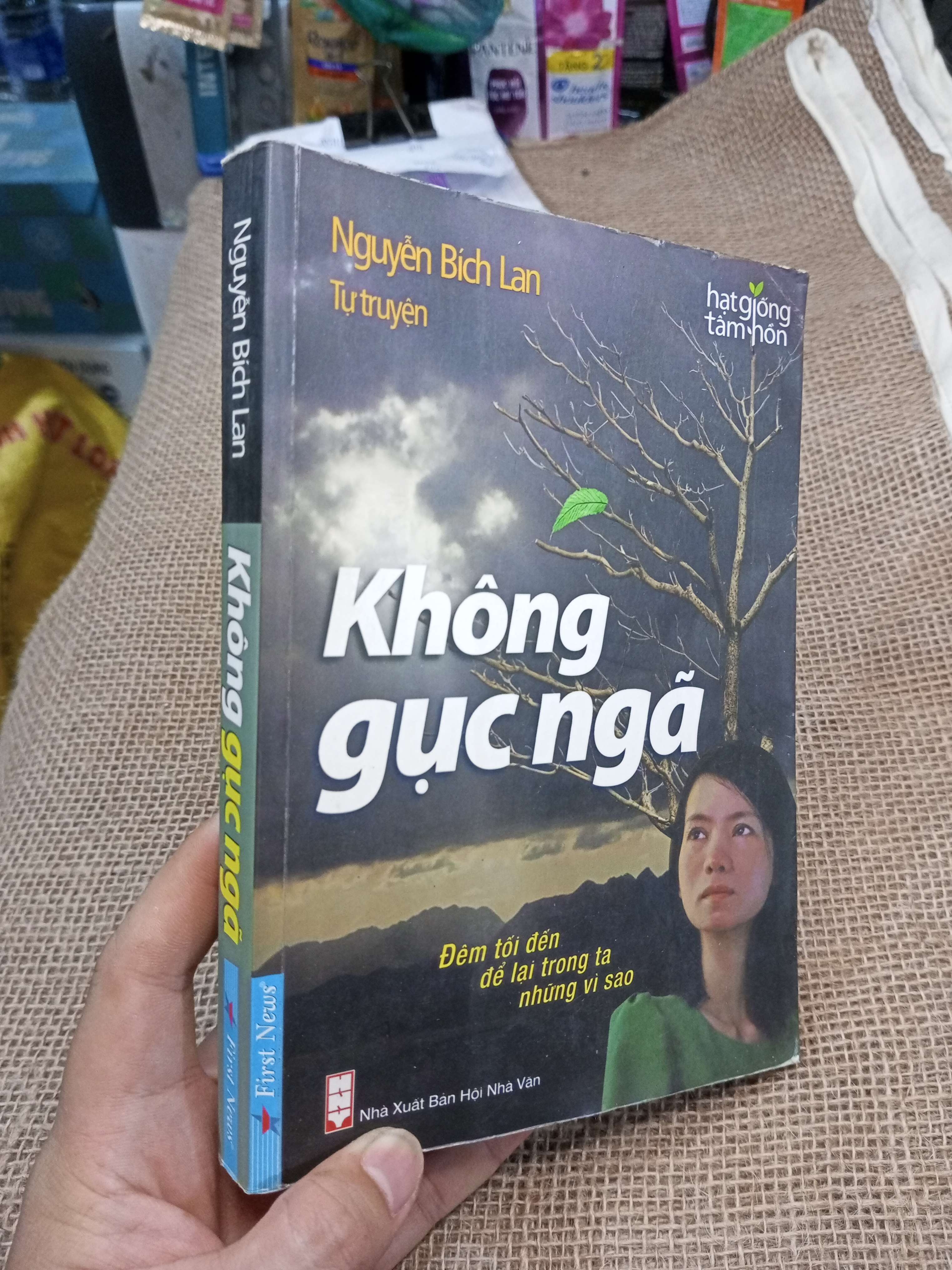 Không Gục Ngã - Nguyễn Bích Lan 2013 mới 80% ố (Sách văn học) HMT