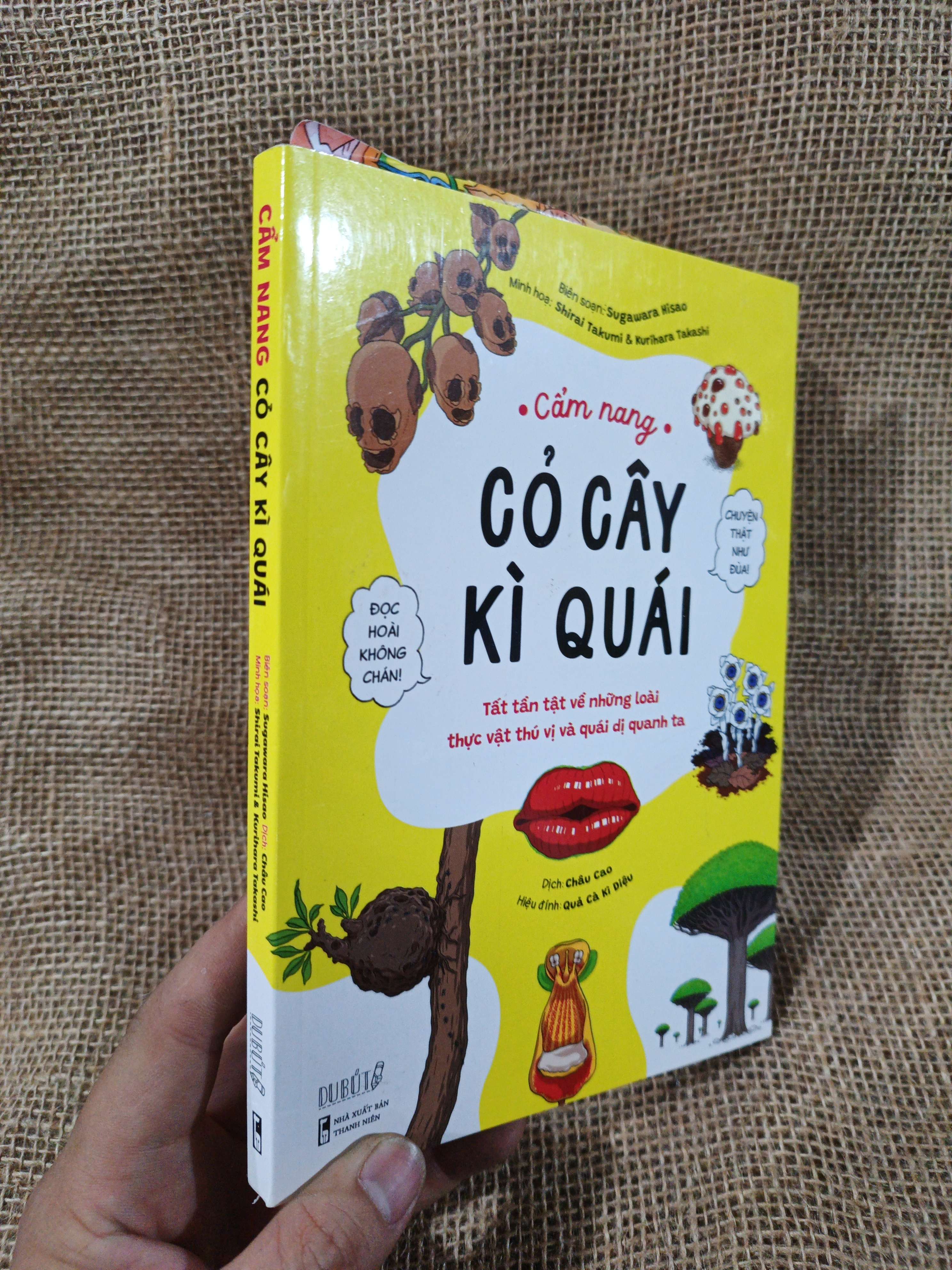 Cẩm Nang Cỏ Cây Kỳ Quái Tất Tần Tật Về Những Loài Thực Vật Thú Vị Và Quái Dị Quanh Ta - Sugawara Hisao 2021 mới 90% (Sách văn học) HMT