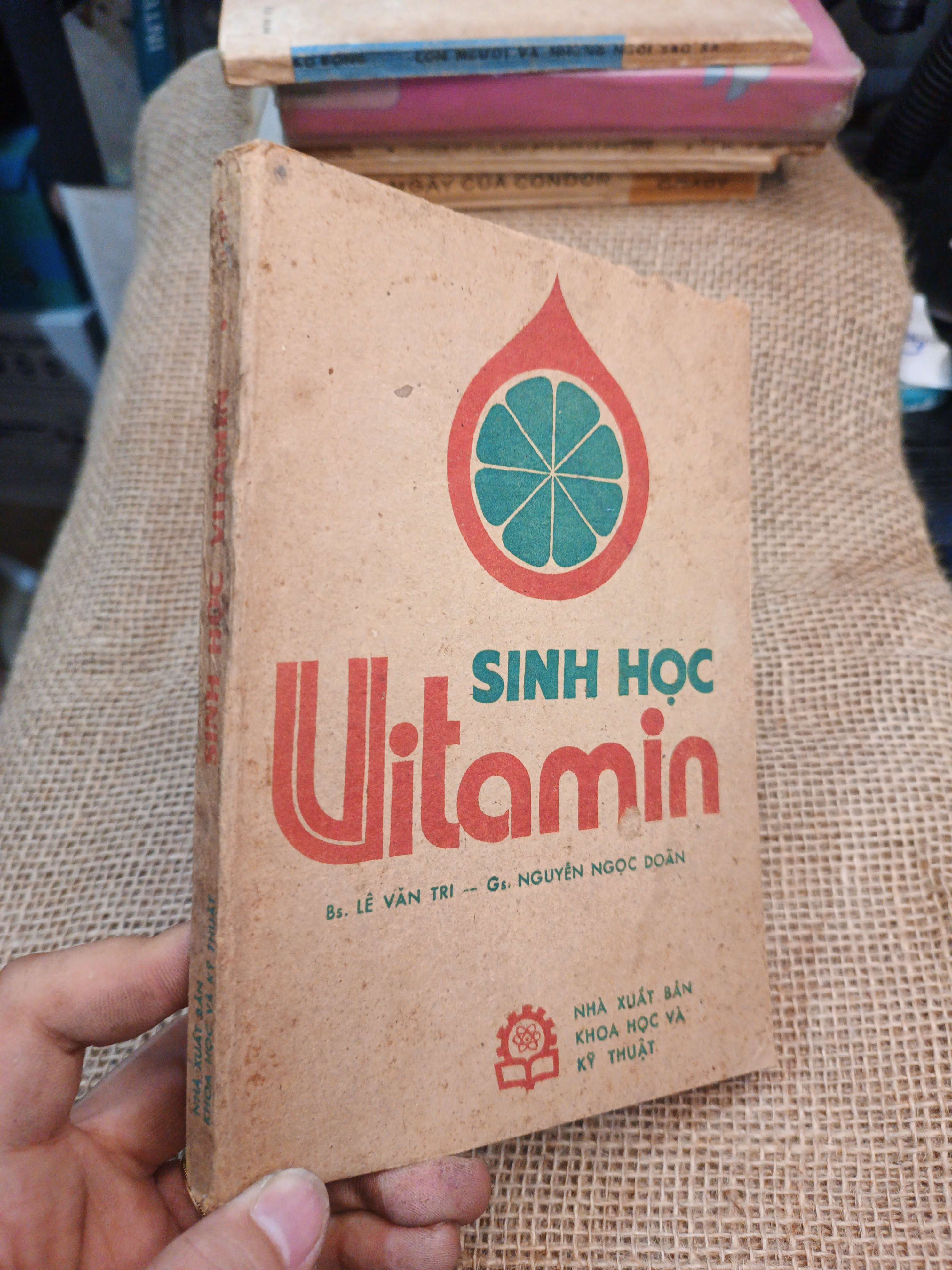 Sinh Học Vitamin - Lê Văn Trí, Nguyễn Ngọc Doãn 1987 mới 80% ố (Sách Y học - Sức khỏe - Thể thao) HLSC