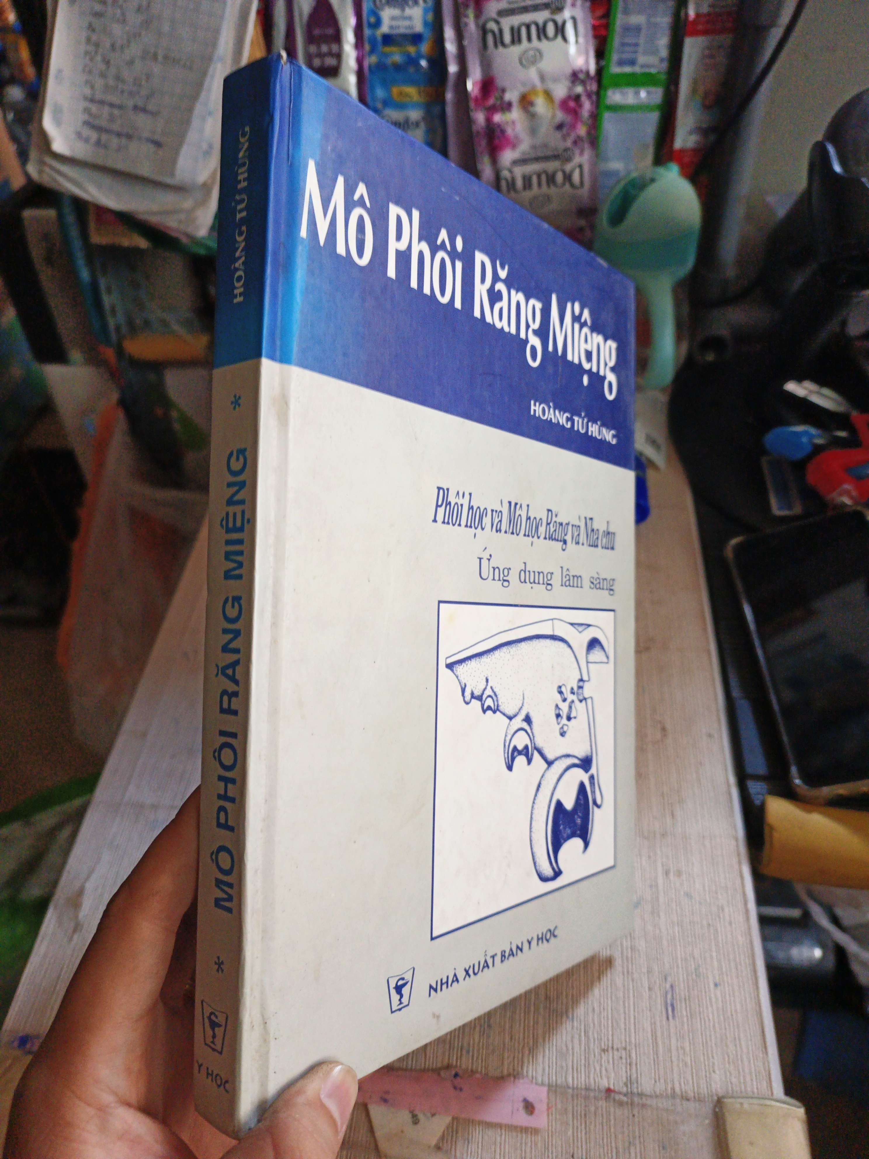 Mô Phôi Răng Miệng Phôi Học Và Mô Học Răng Và Nha Chu Ứng Dụng Lâm Sàng - Hoàng Tử Hùng 2005 mới 80% ố nhẹ (Sách Y học - Sức khỏe - Thể thao) HLSC