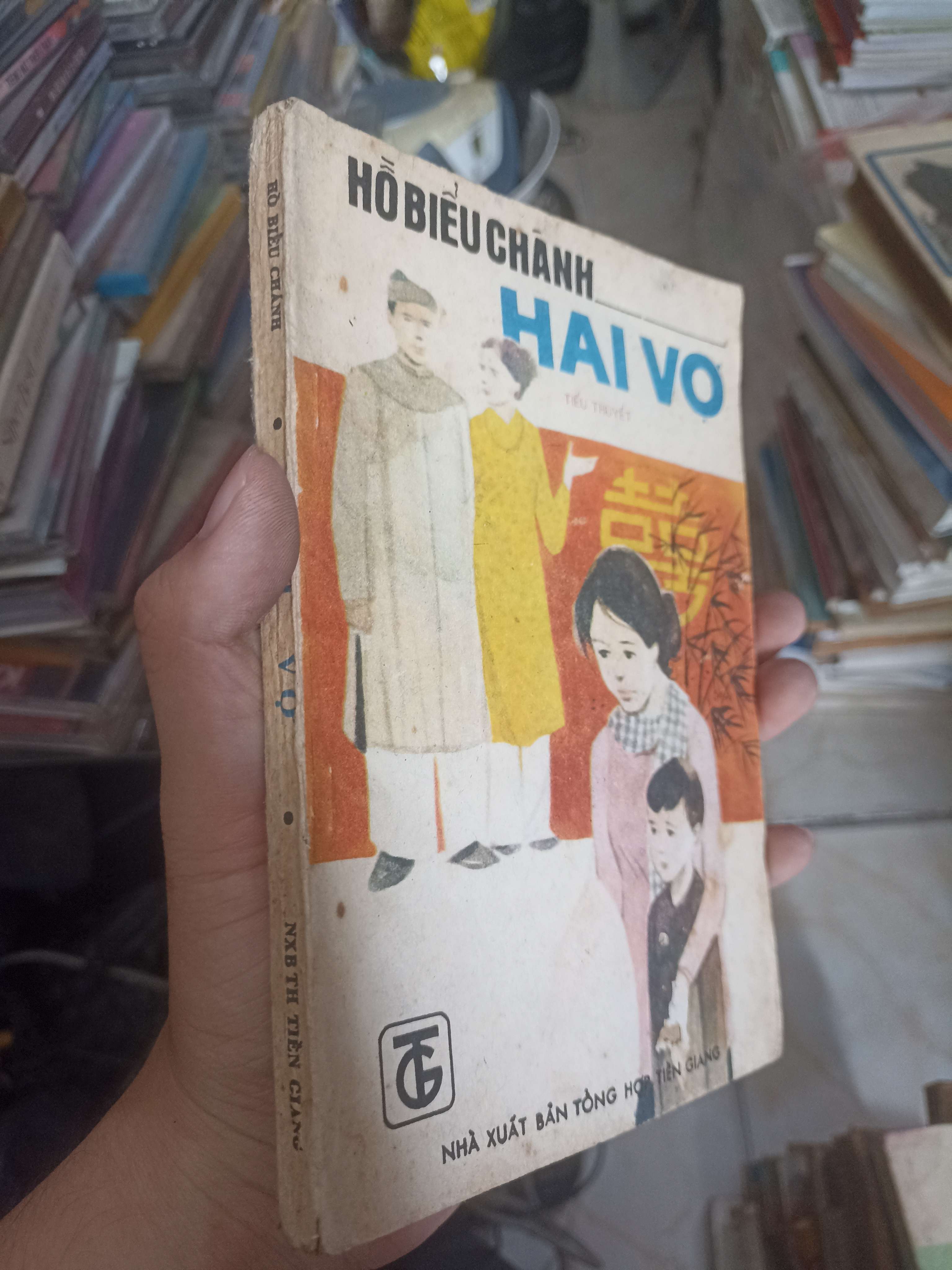 Hai vợ - Hồ Biểu Chánh 1989 (Văn học Việt Nam) KSX