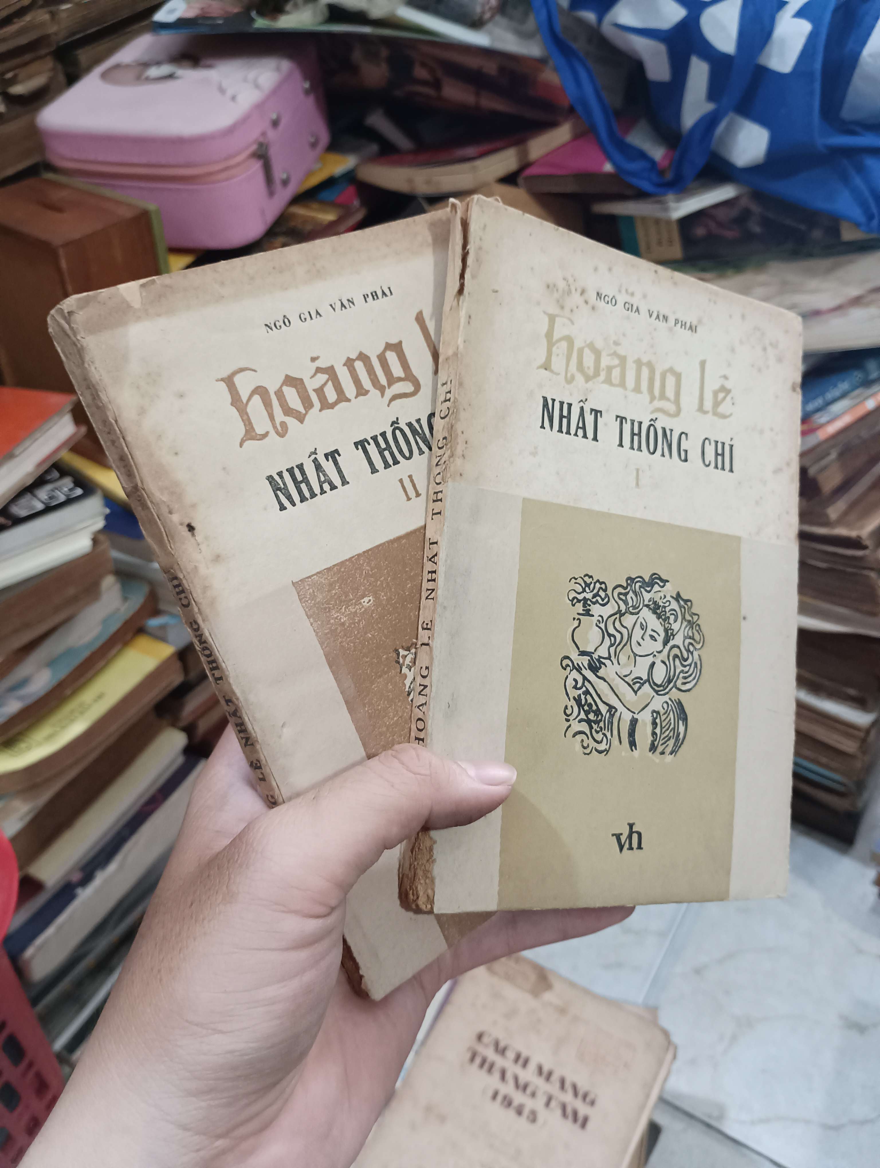 Hoàng Lê nhất thống chí (Quyển 1 và 2) - Ngô Gia Văn Phái 1984 (Sách văn học) KSX