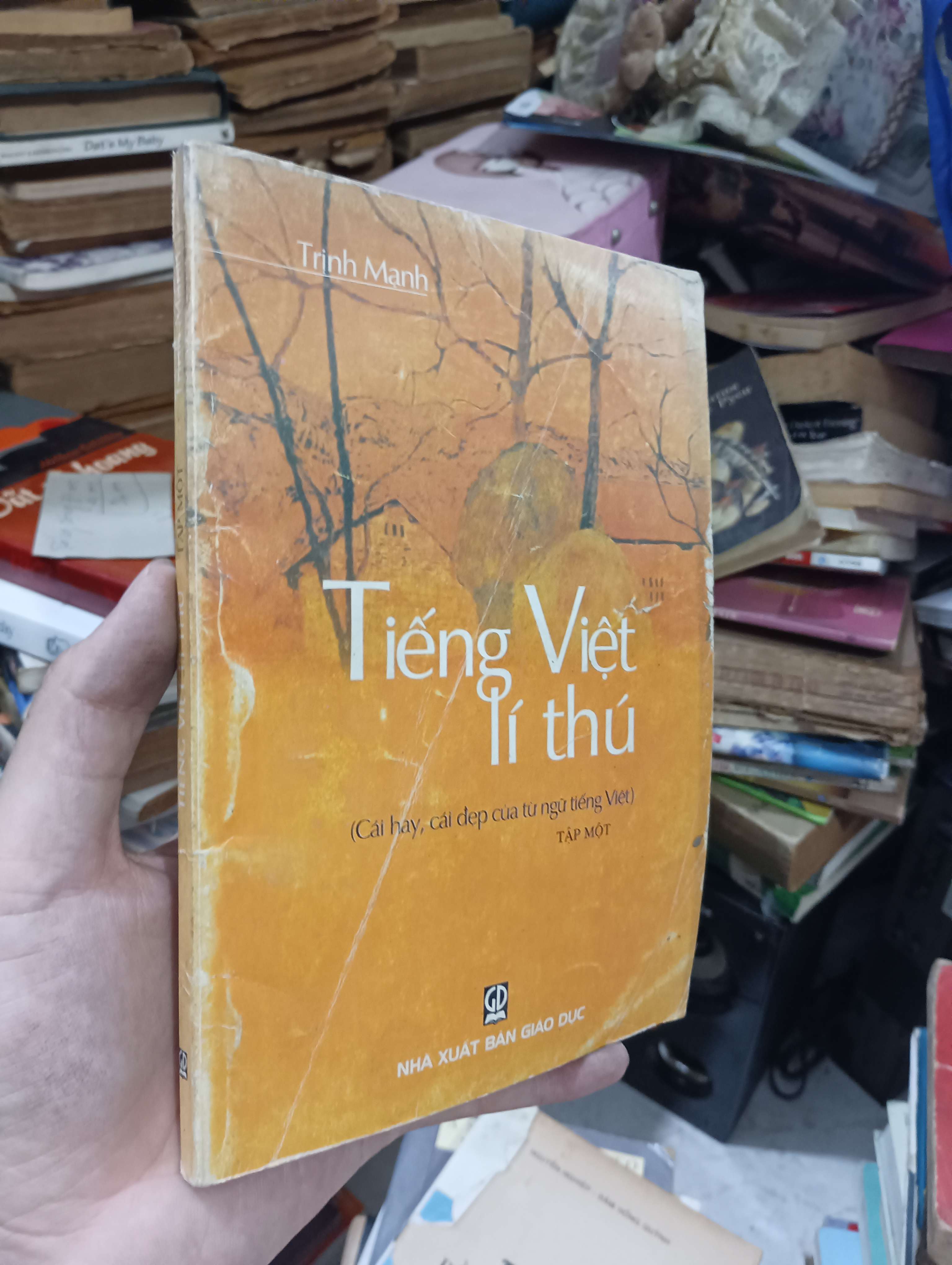 Tiếng Việt lí thú (Cái hay, cái đẹp của từ ngữ tiếng Việt) - Tập một 2003 (Tham khảo - luyện thi) KSX