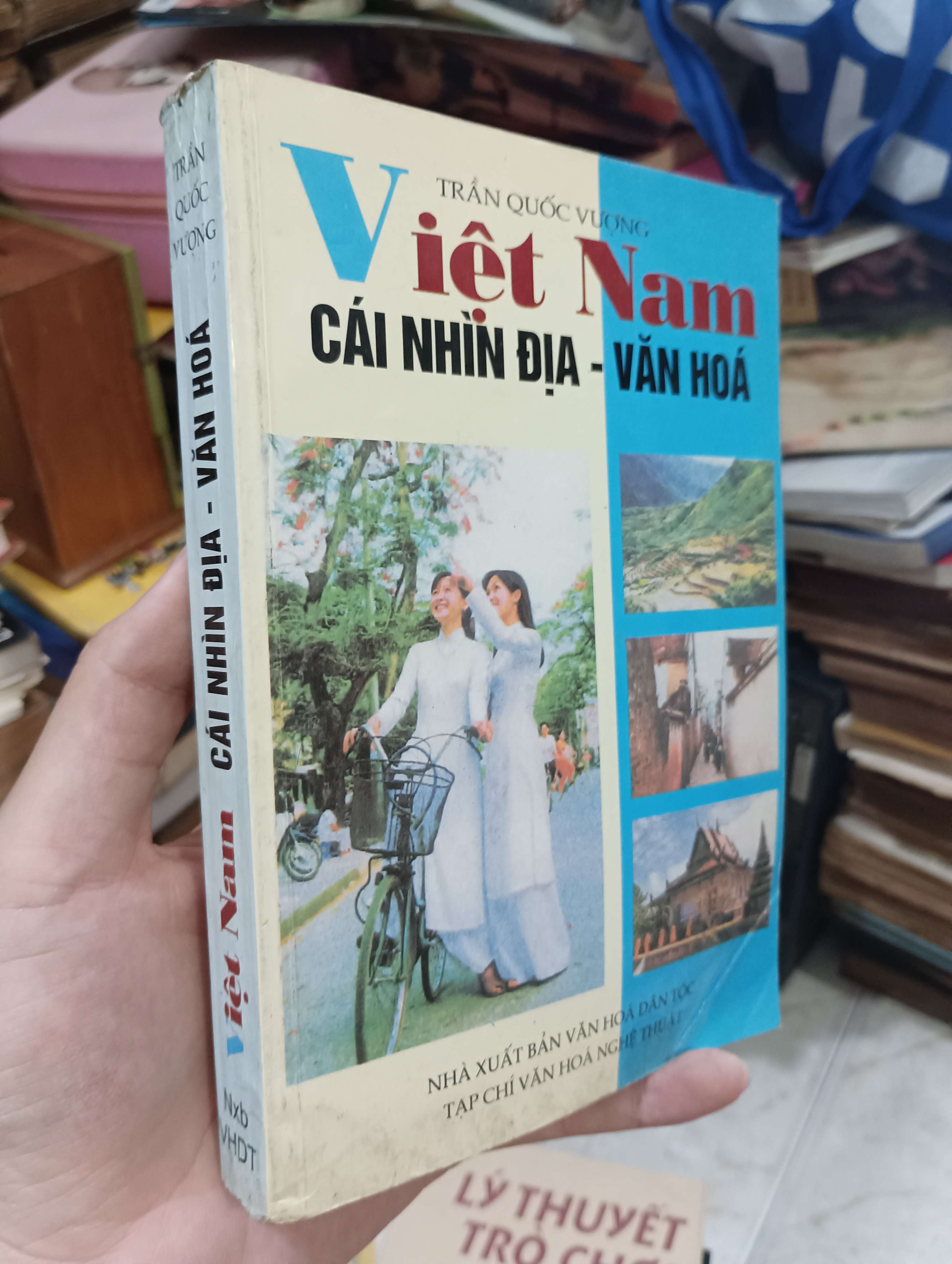 Việt Nam - Cái nhìn địa - văn hoá 1999 (Sách lịch sử - triết học) KSX