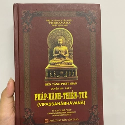 Pháp Hành Thiền Tuệ (Phật giáo) AB