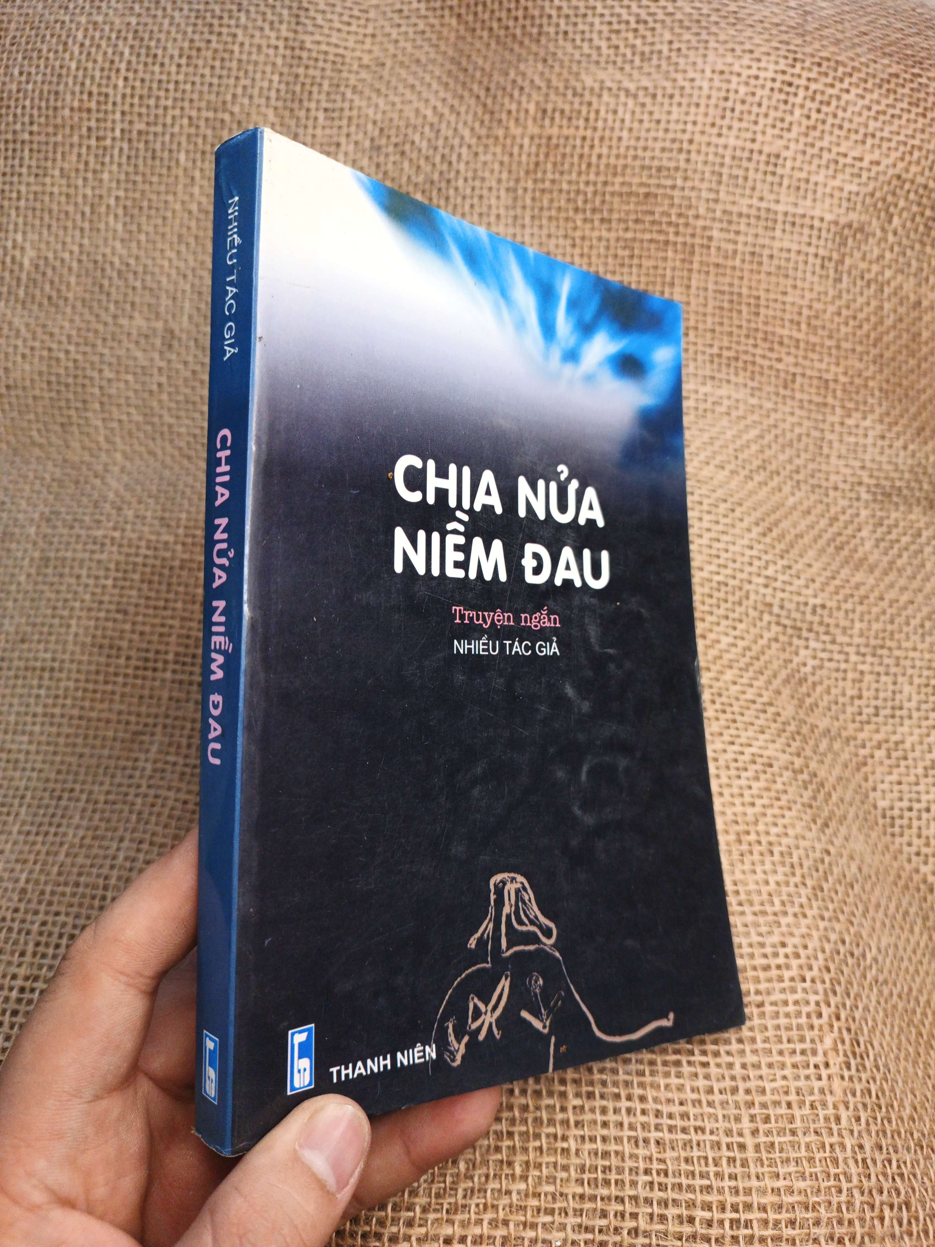 Chia Nửa Niềm Đau - Nhiều Tác Giả 2010 mới 90% ố nhẹ (Truyện Ngắn) HLSC