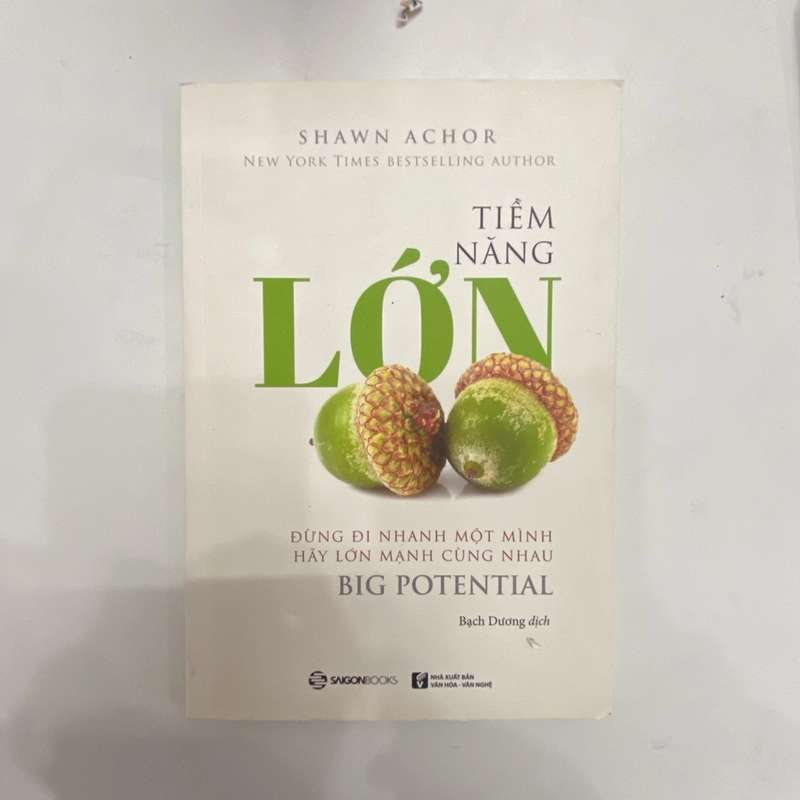 Tiềm Năng Lớn (Sách kỹ năng) AB
