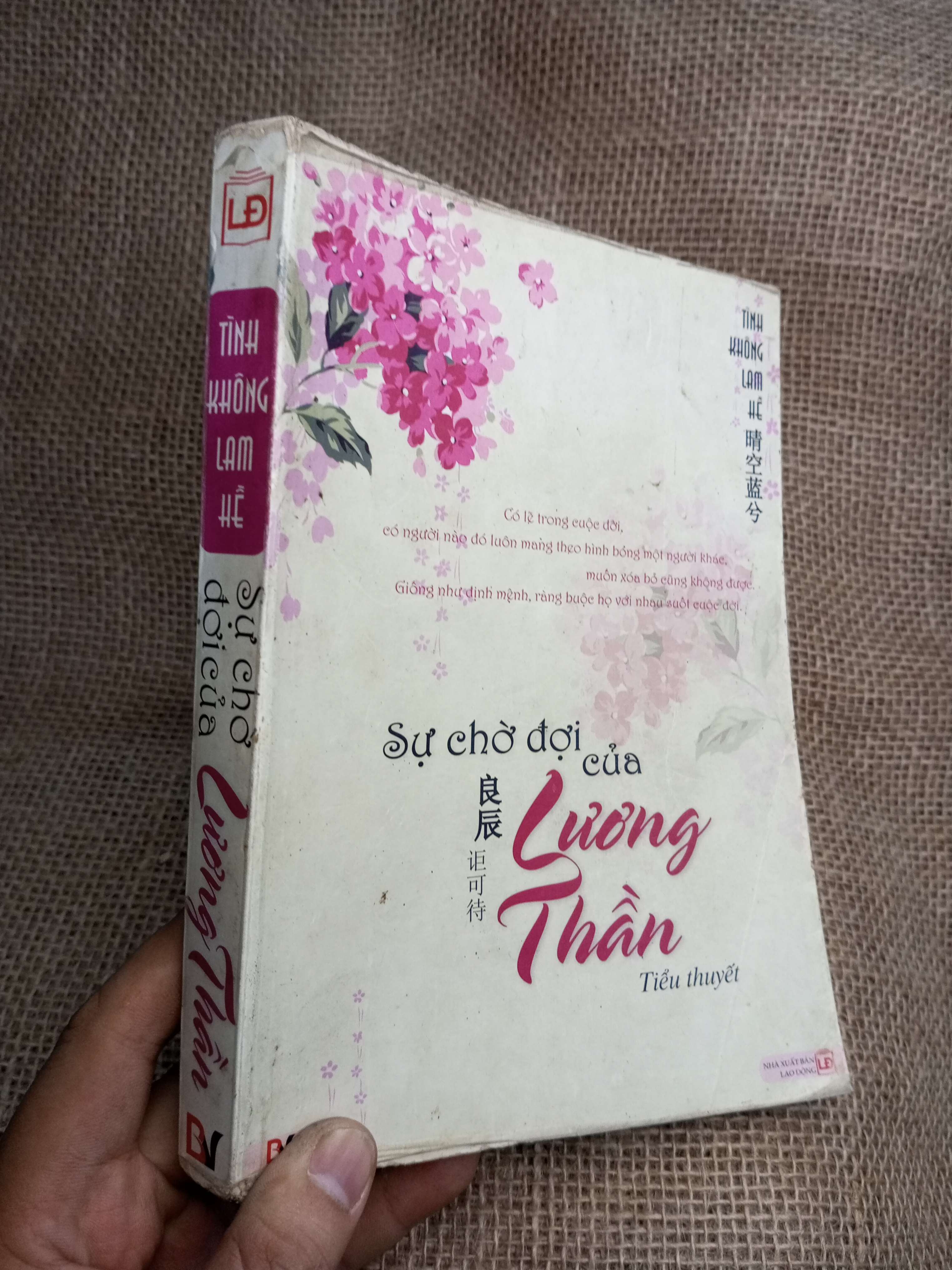 Sự Chờ Đợi Của Lương Thần - Tình Không Lam Hề 2011 mới 80% ố (Sách văn học) HLSC