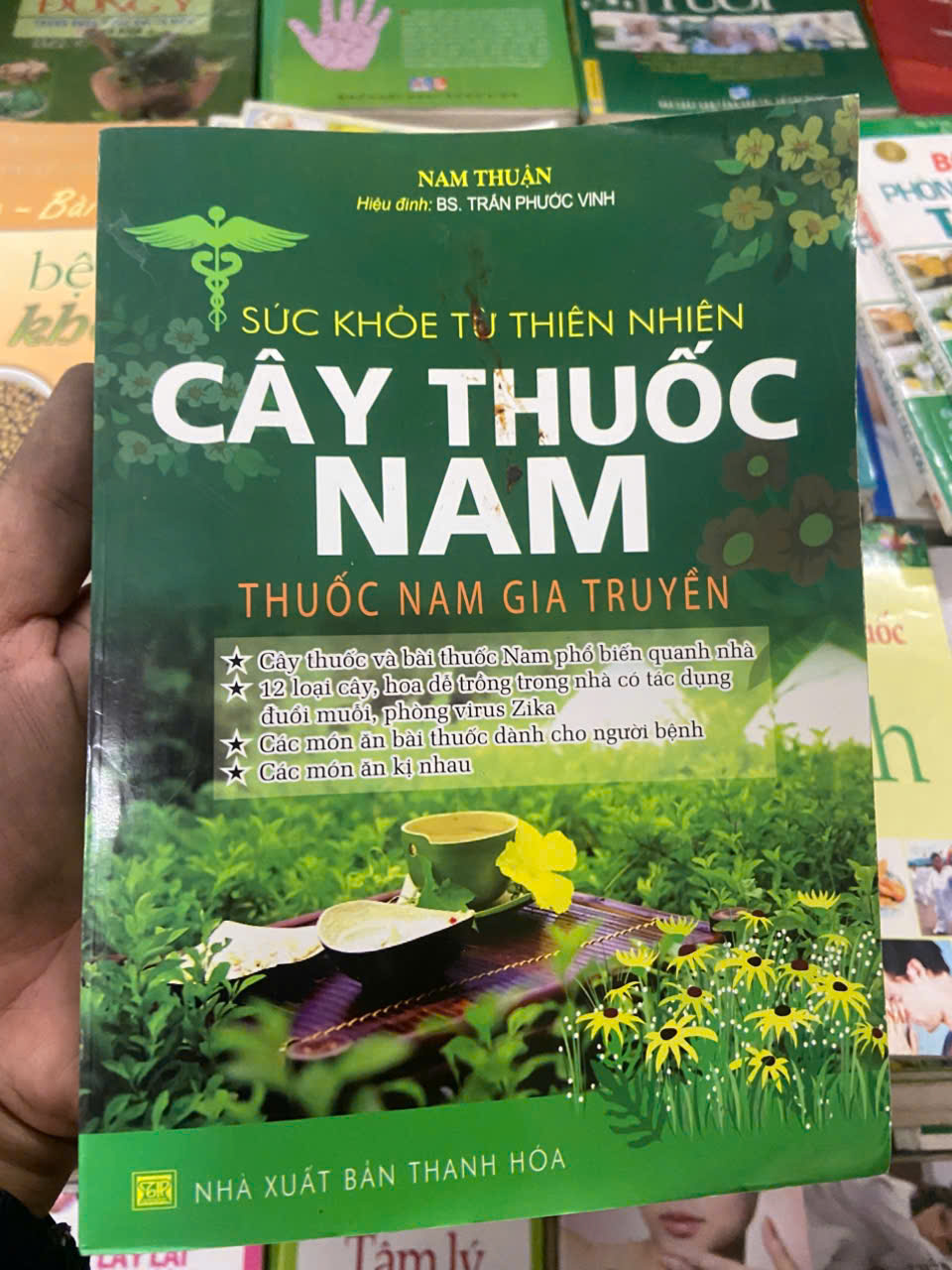 Sức khoẻ từ thiên nhiên: Cây thuốc nam, thuốc nam gia truyền - Nam Thuận (Sách Y học - Sức khỏe - Thể thao) VAVO (NSX)