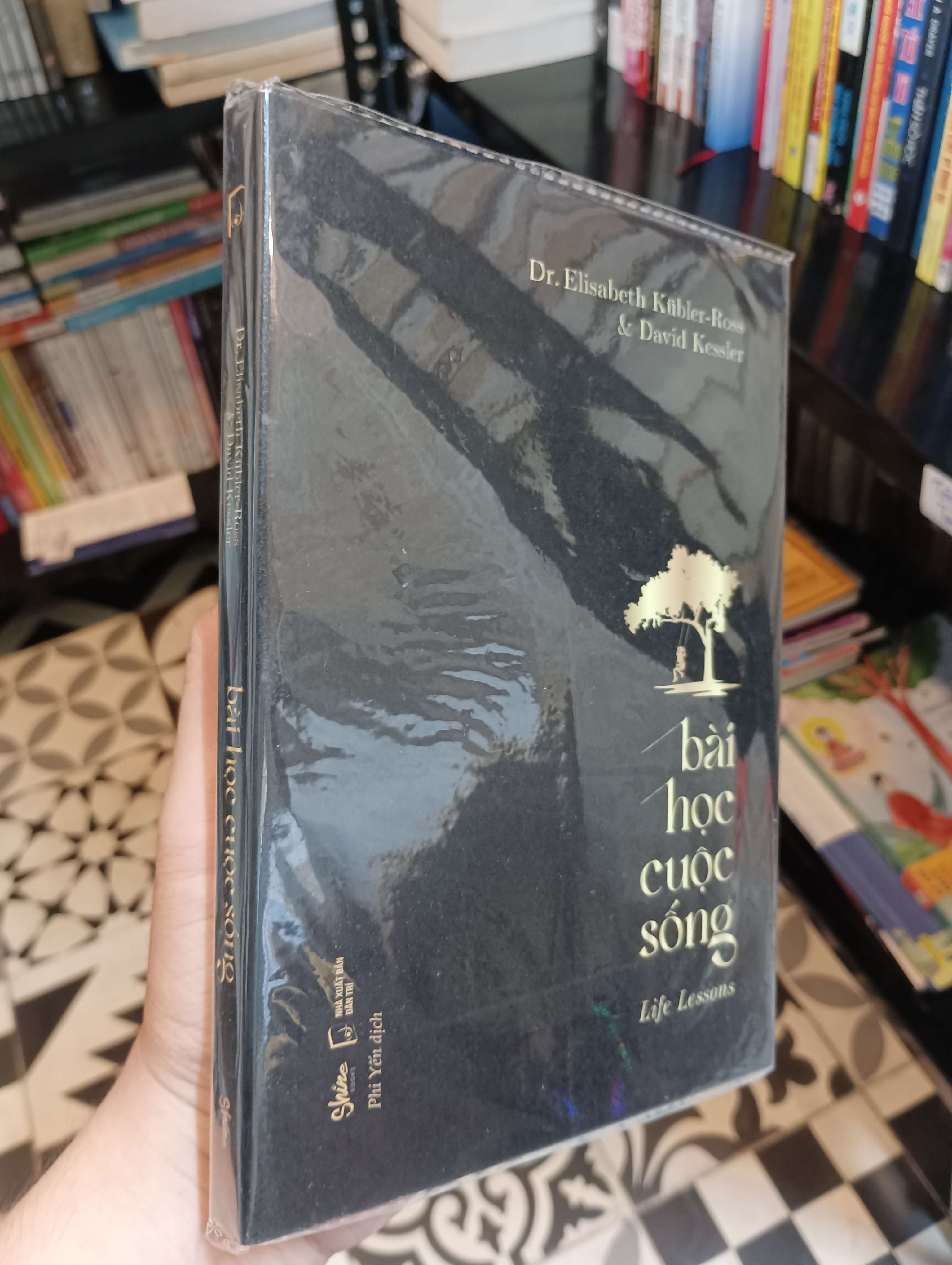 Bài học cuộc sống (Life Lessons) - Dr. Elisabeth Kübler-Ross & David Kessler 2021 Mới 90% (Sách tâm lý học - giới tính) HTB