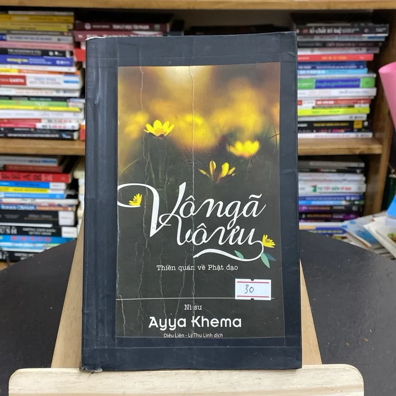Vô ngã vô ưu-Thiền quán về Phật đạo (Phật giáo) AB