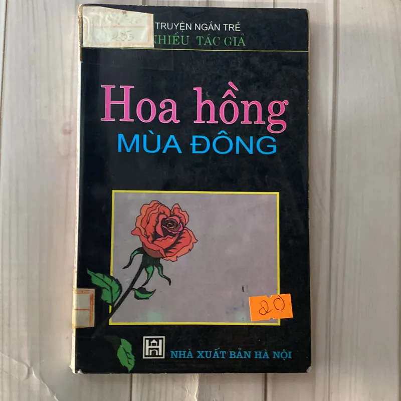 Hoa hồng mùa đông - Nhiều tác giả (Sách văn học) AB