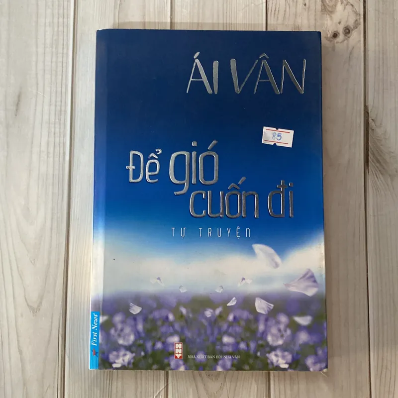 Để gió cuốn đi - Ái Vân (Văn học Việt Nam) AB