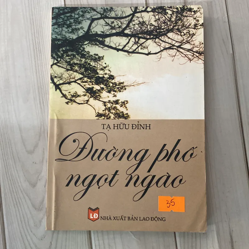 Đường phố ngọt ngào - Tạ Hữu Đỉnh (Văn học Việt Nam) AB