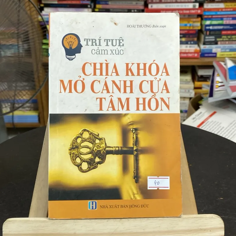 Trí tuệ cảm xúc-chìa khóa mở cánh cửa tâm hồn (Sách lịch sử - triết học) AB