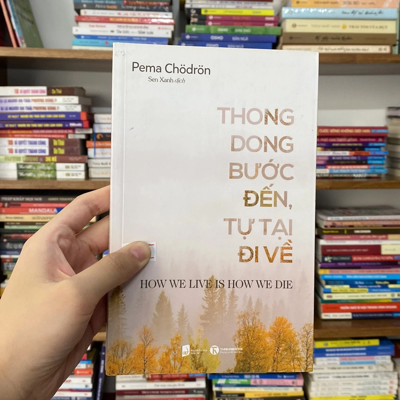Thong dong bước đến, tự tại đi về - Pema Chödrön (Văn học nước ngoài) AB