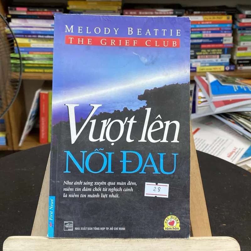 Vượt lên nỗi đau-tác giả Melody Beattie (Sách lịch sử - triết học) AB