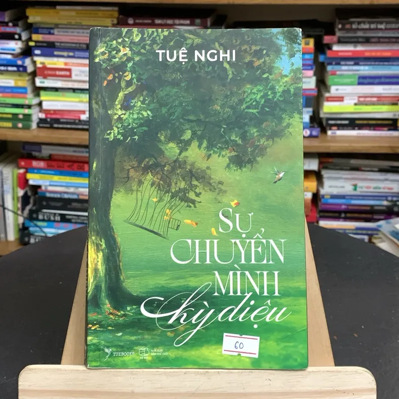 Sự chuyển mình kỳ diệu-Sách chữa lành (Chữa lành) AB