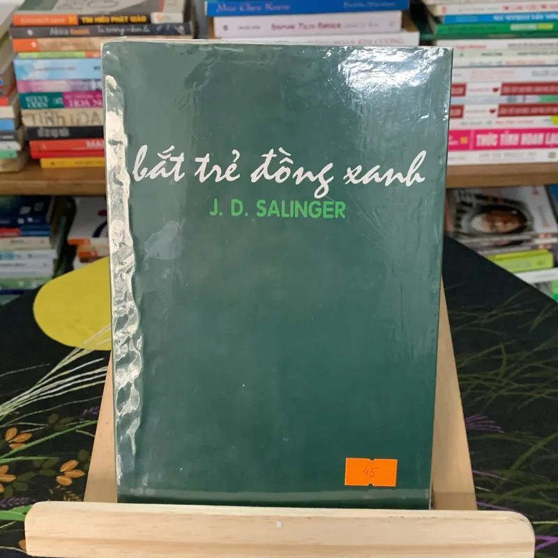 Bắt trẻ đồng xanh - K. D. Salinger (Văn học nước ngoài) AB