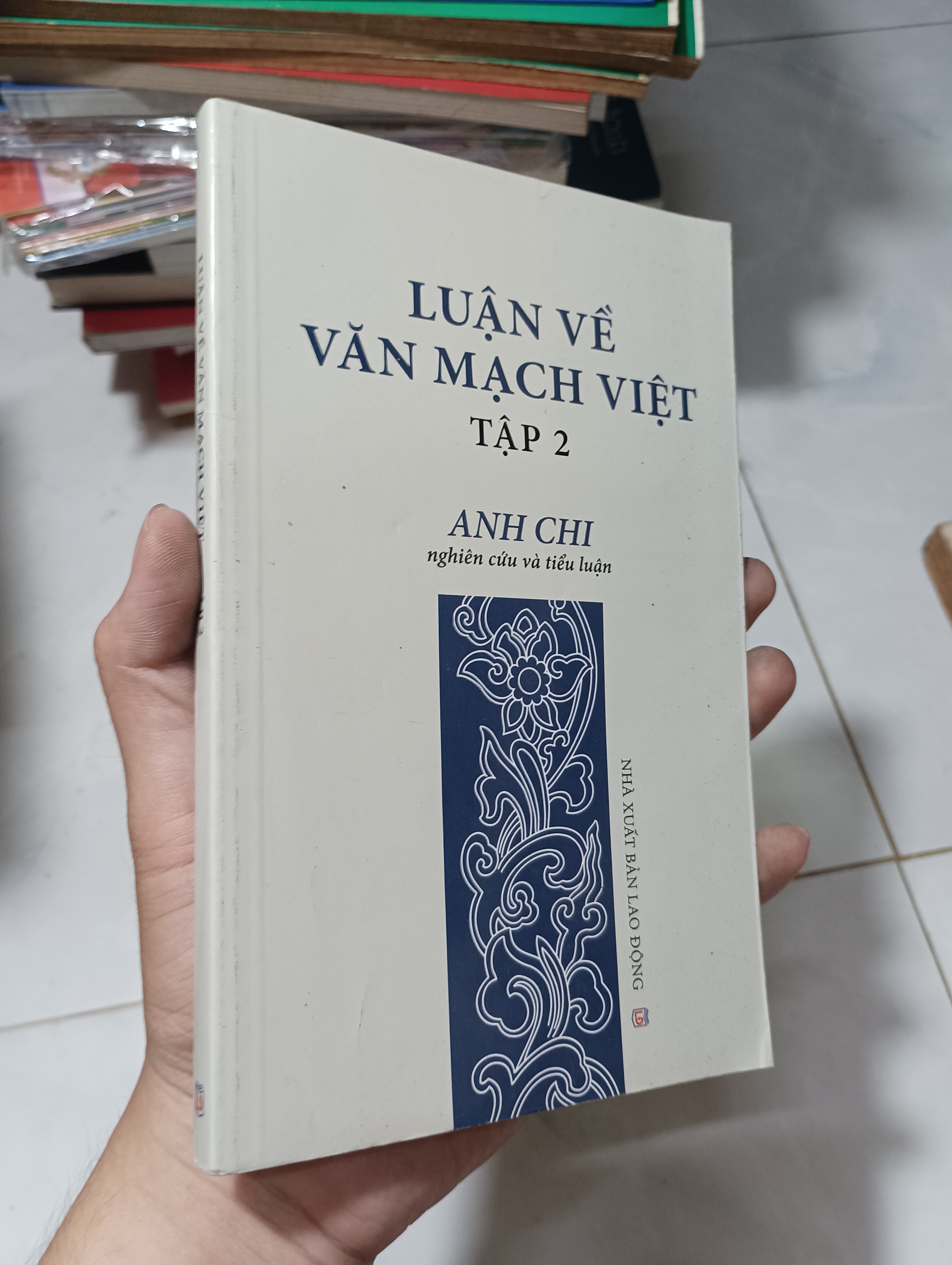 Luận Về Văn Mạch Việt - Tập 2 (Anh Chi) 2023 90% (Sách văn học) HCM
