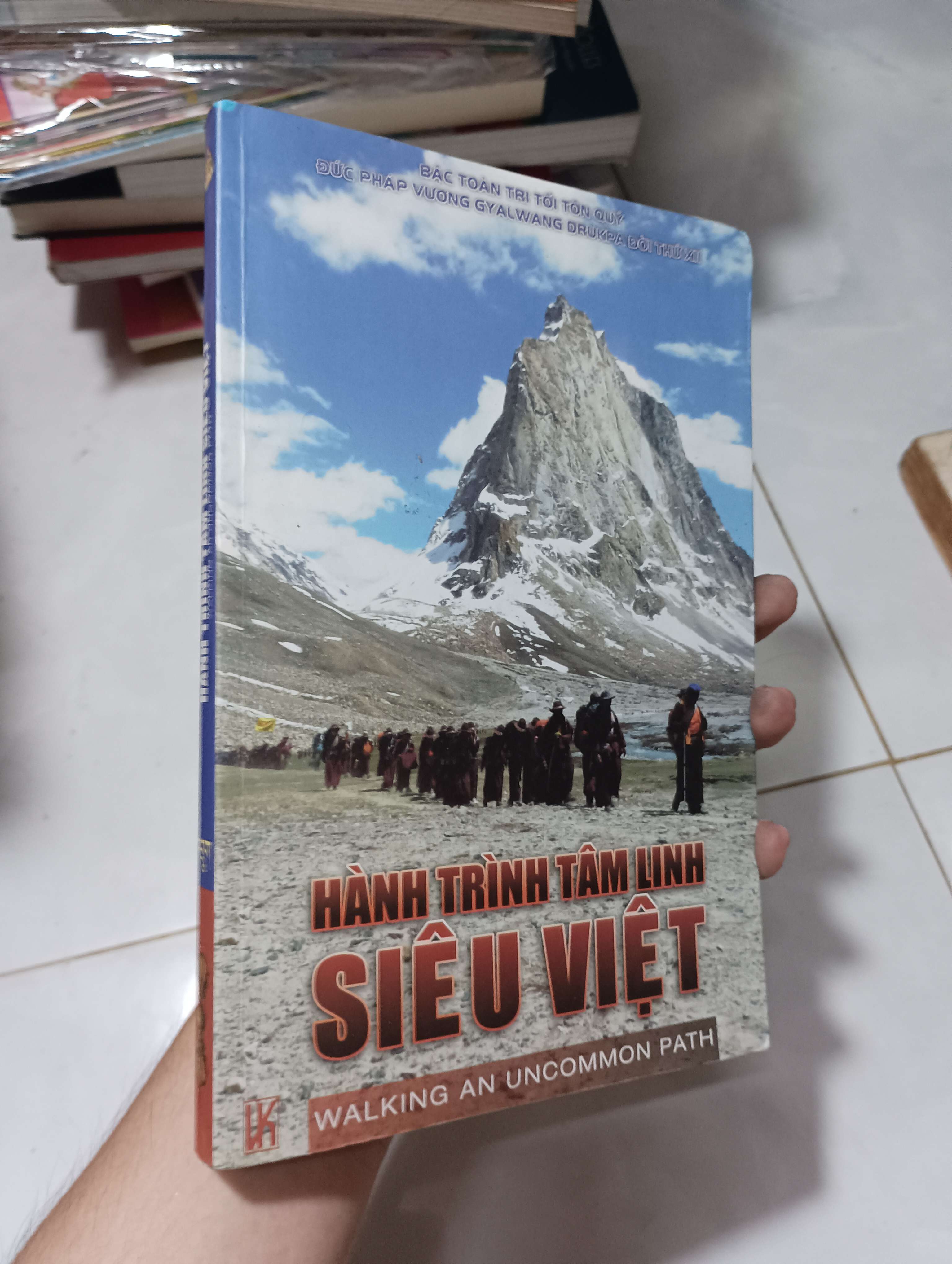 Hành Trình Tâm Linh Siêu Việt (Walking An Uncommon Path) - Đức Pháp Vương Gyalwang Drukpa 2011 80% (Sách tôn giáo - tâm linh) HCM