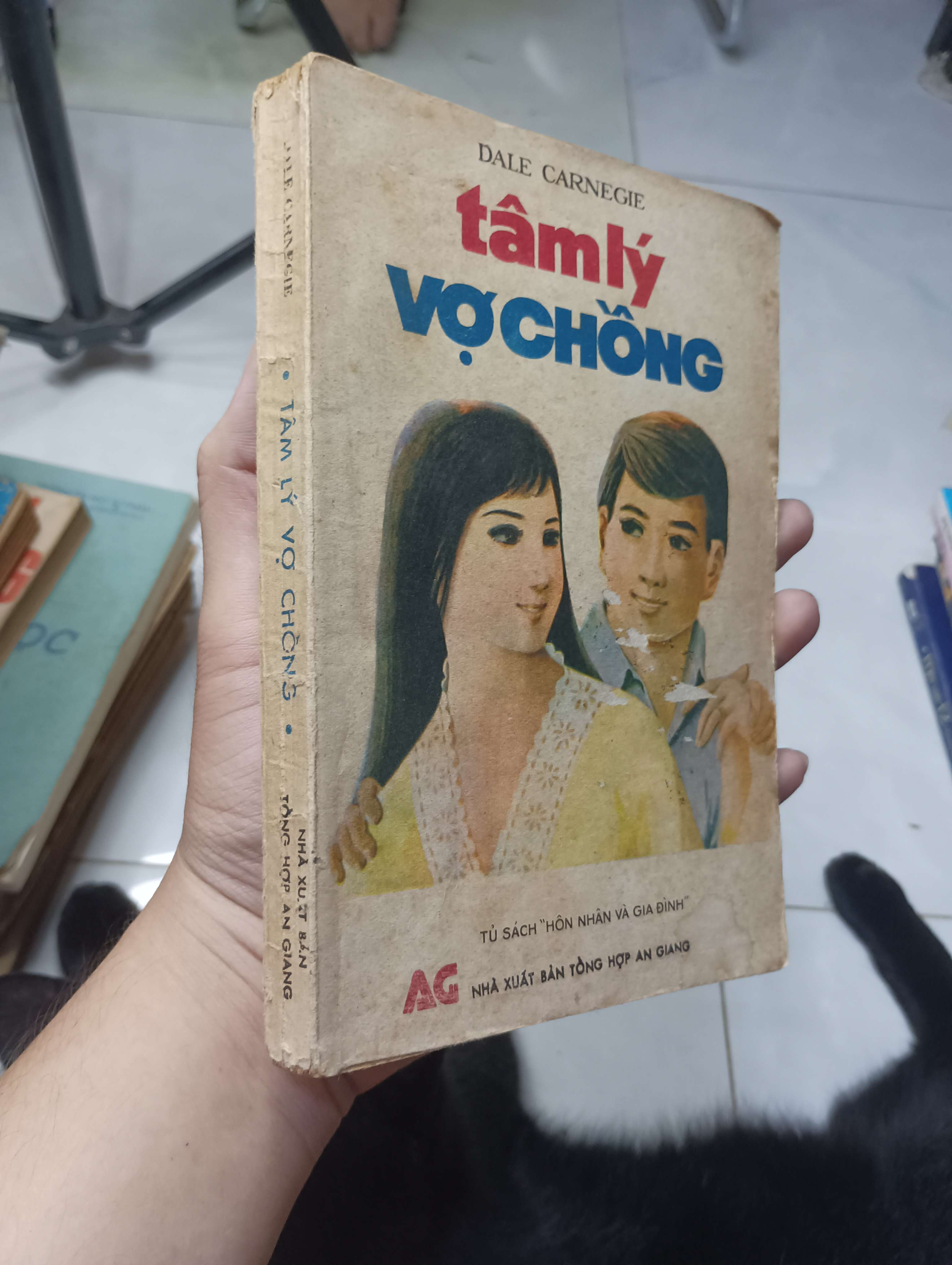 Tâm lý vợ chồng - Dale Carnegie 1989 70% gáy xấu (Sách tâm lý học - giới tính) HLSC