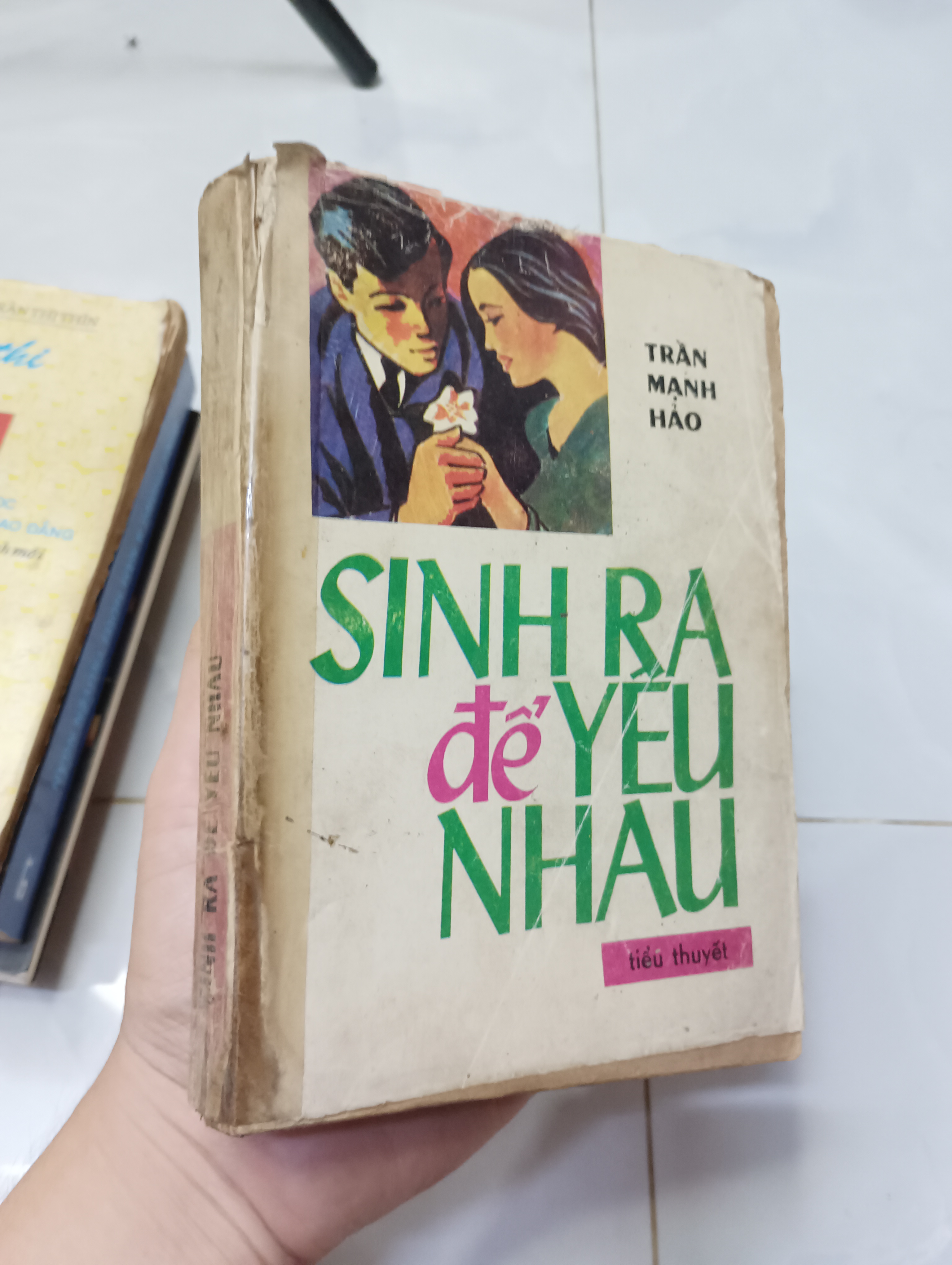 Sinh ra để yêu nhau - Trần Mạnh Hảo 1989 70% ố bìa xấu (Tiểu Thuyết) HLSC