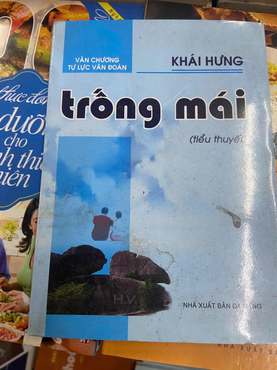 Trống mái - Khái Hưng Mới 80% (Sách văn học) VAVO
