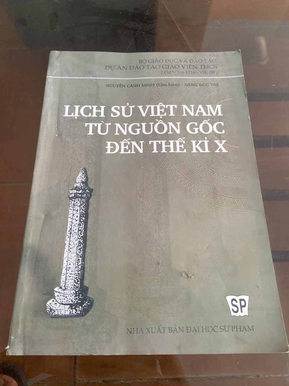 Lịch sử Việt Nam từ nguồn gốc đến thế kỷ X Mới 80% (Lịch sử Việt Nam) VAVO