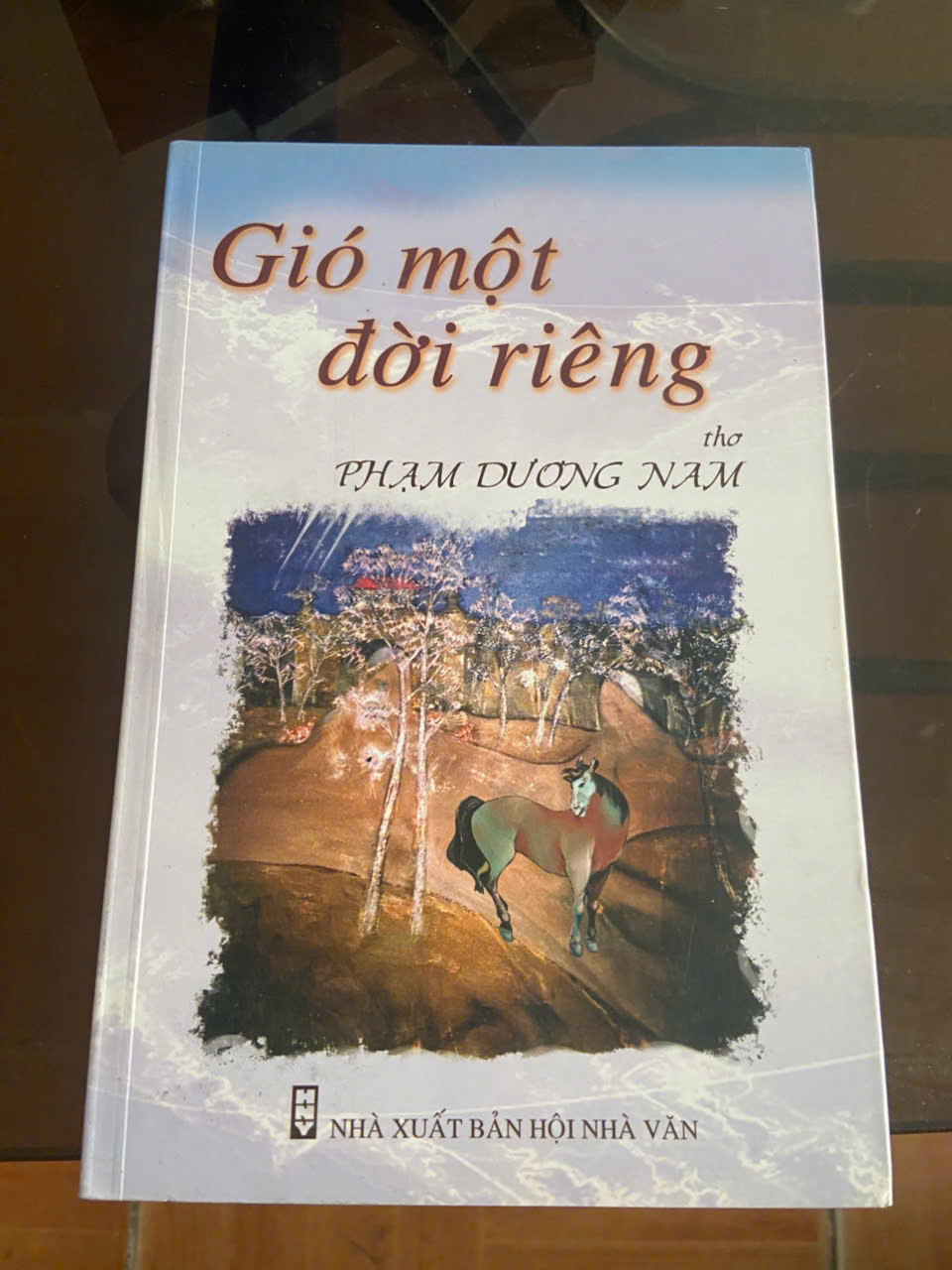 Gió một đời riêng - Phạm Dương Nam Mới 80% (Sách văn học) VAVO