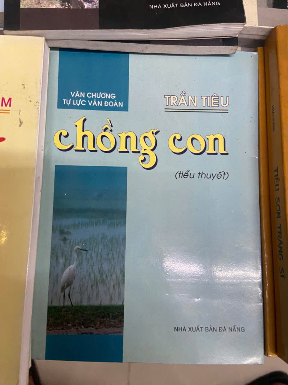 Chồng con - Trần Tiêu Mới 80% (Sách văn học) VAVO
