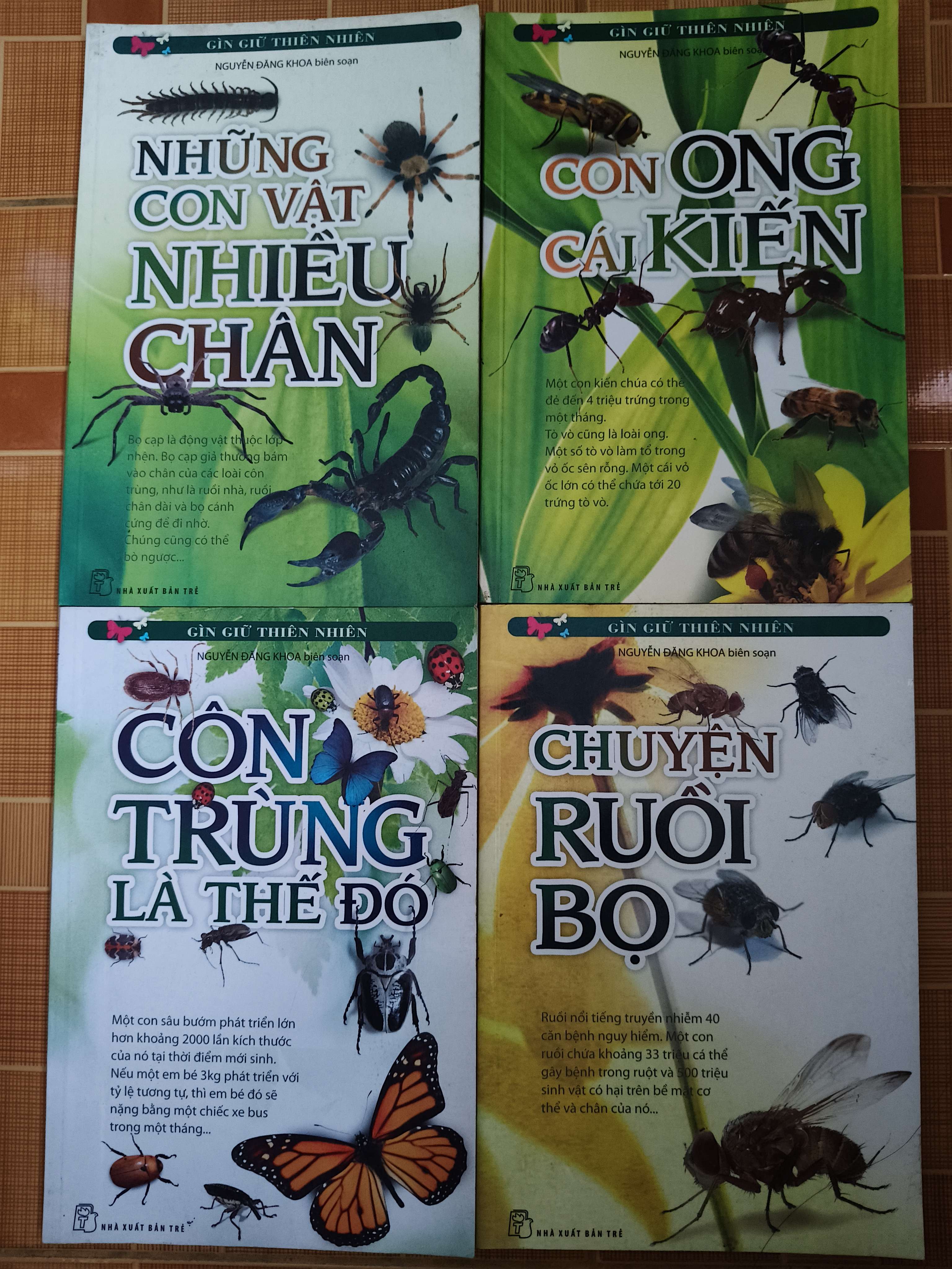 Chuyện ruồi bọ - Con ông cái kiến - Côn trùng là thế đó - Những con vật nhiều chân - Xb 2011 - 534 trang (Sách kiến thức tổng hợp) ANTQ