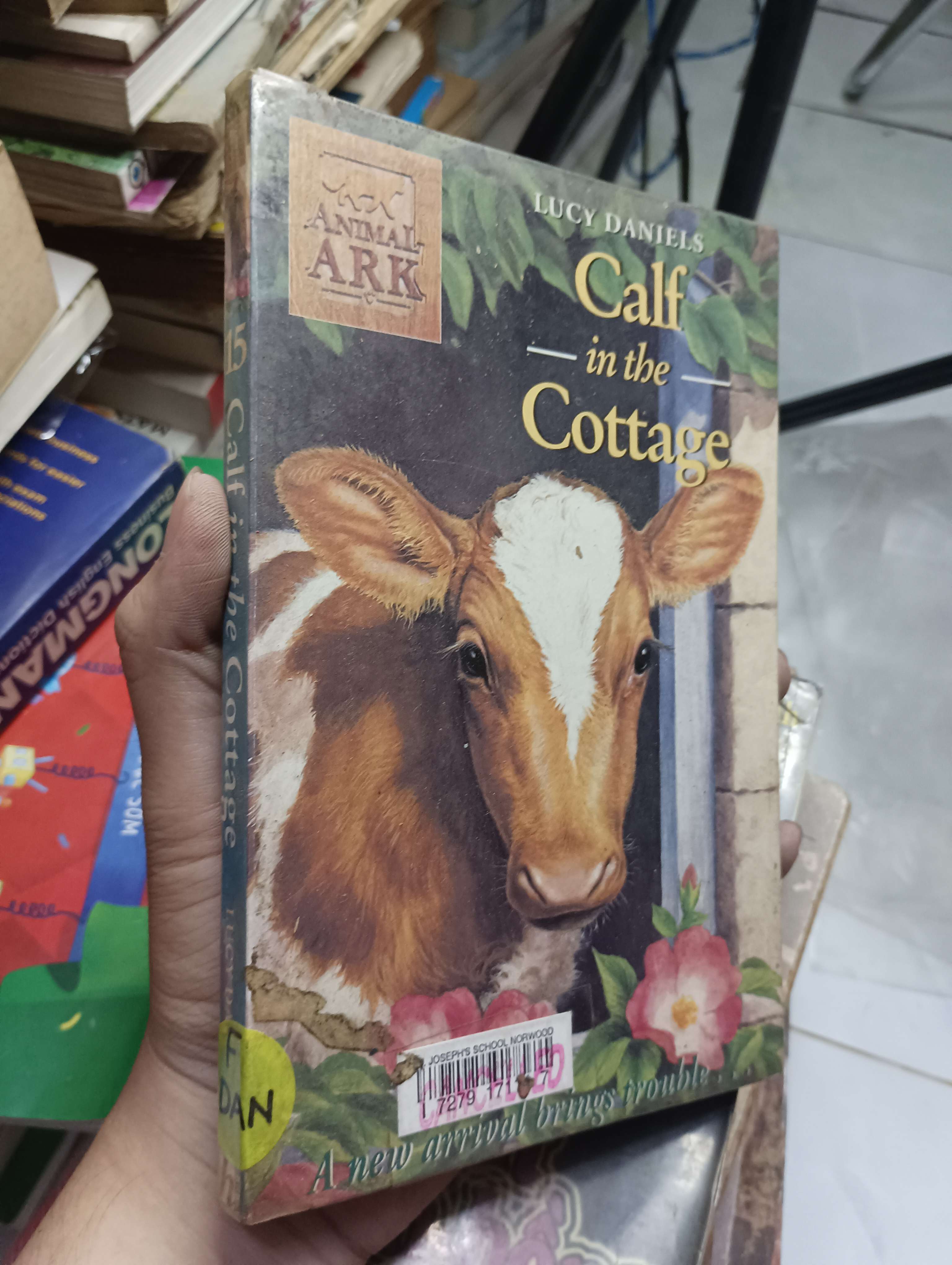 Calf in the Cottage - Lucy Daniels 70% ố (Sách ngoại) HLSC