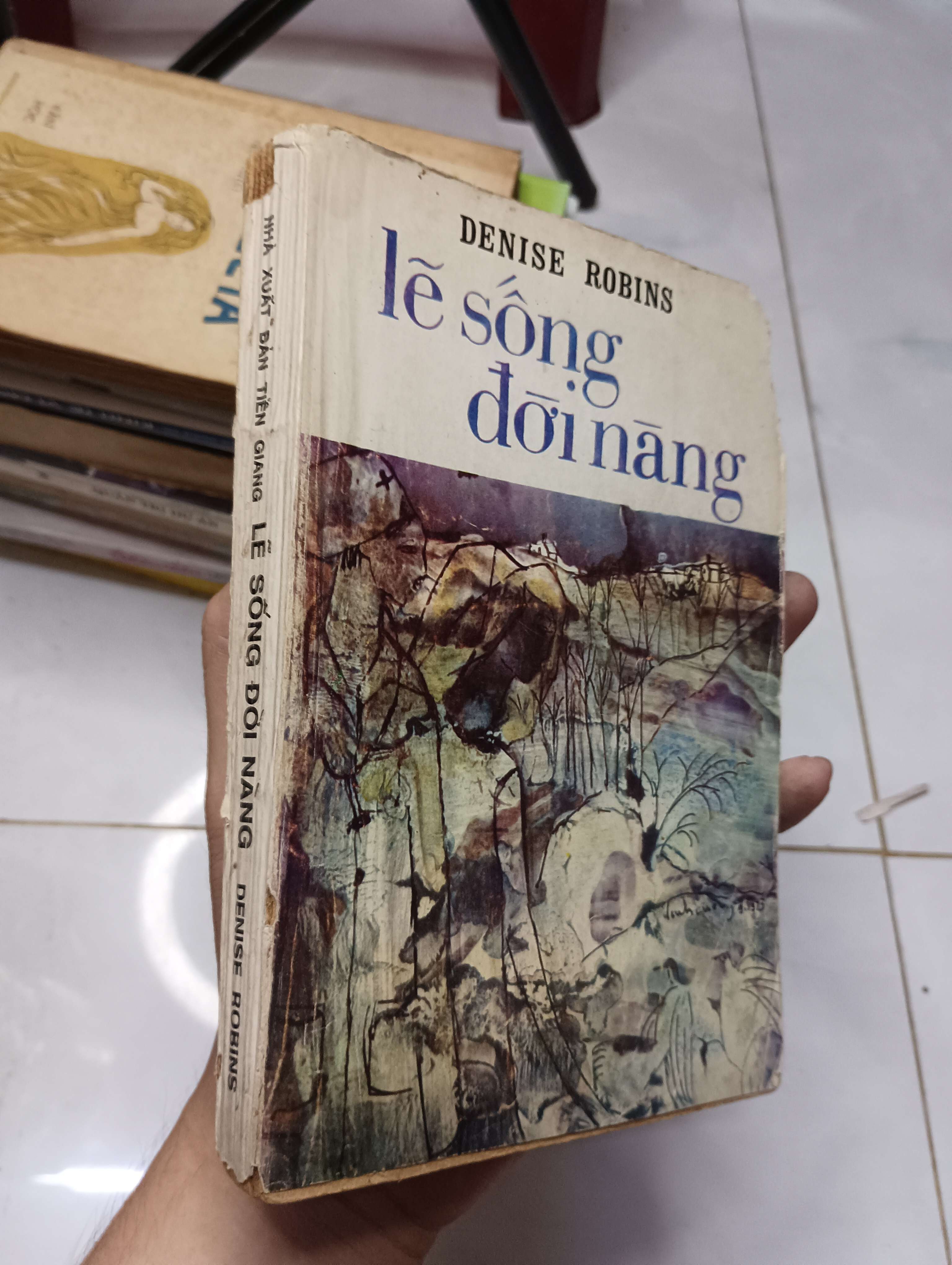 Lẽ sống đời nàng - Denise Robins 1898 70% bìa xấu (Tiểu Thuyết) HLSC