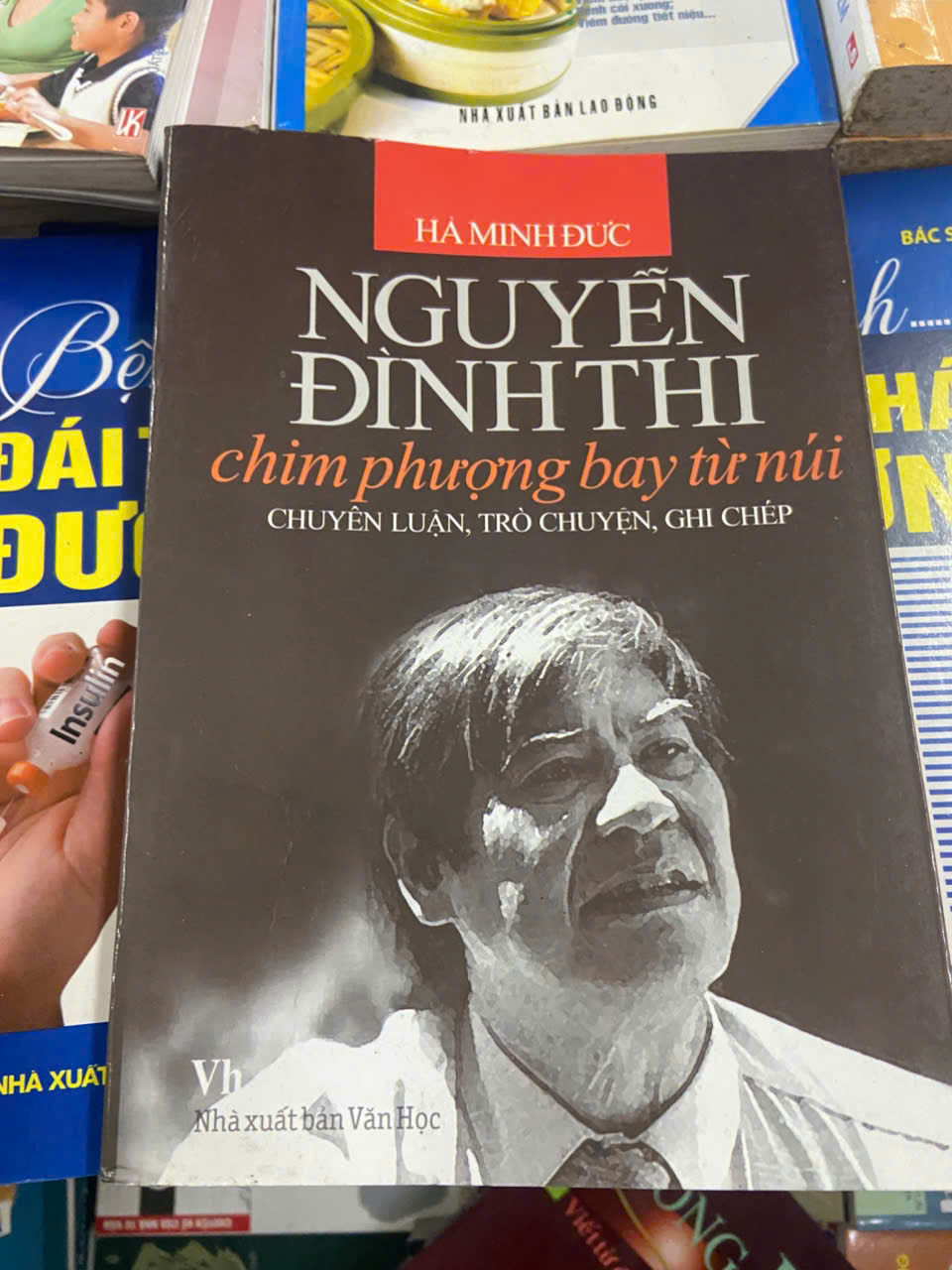 Chim phượng bay từ núi - Nguyễn Đình Thi Mới 80% (Sách văn học) VAVO