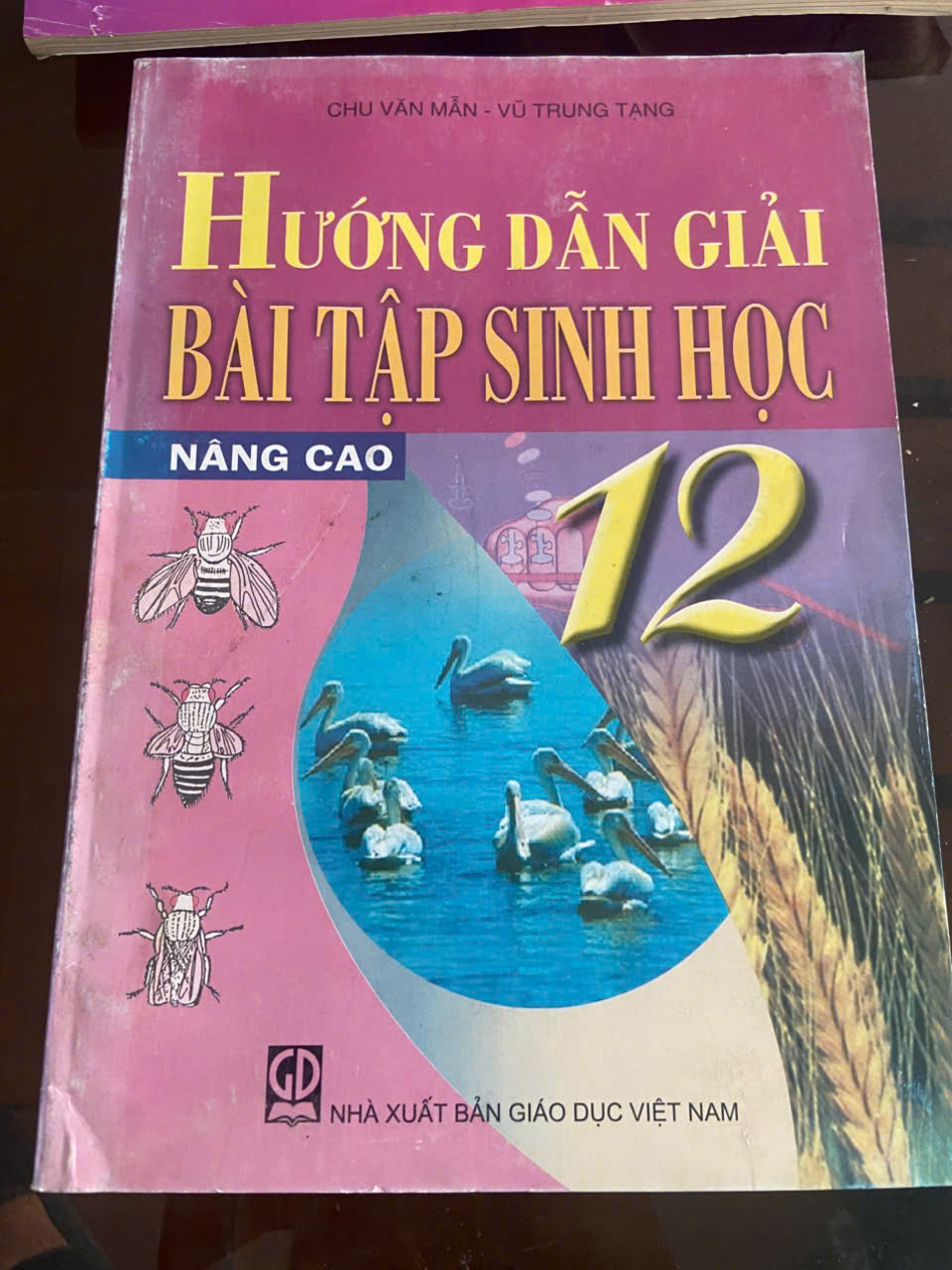 Hướng dẫn giải bài tập Sinh học lớp 12 nâng cao Mới 80% (Sách giáo khoa - giáo trình) VAVO
