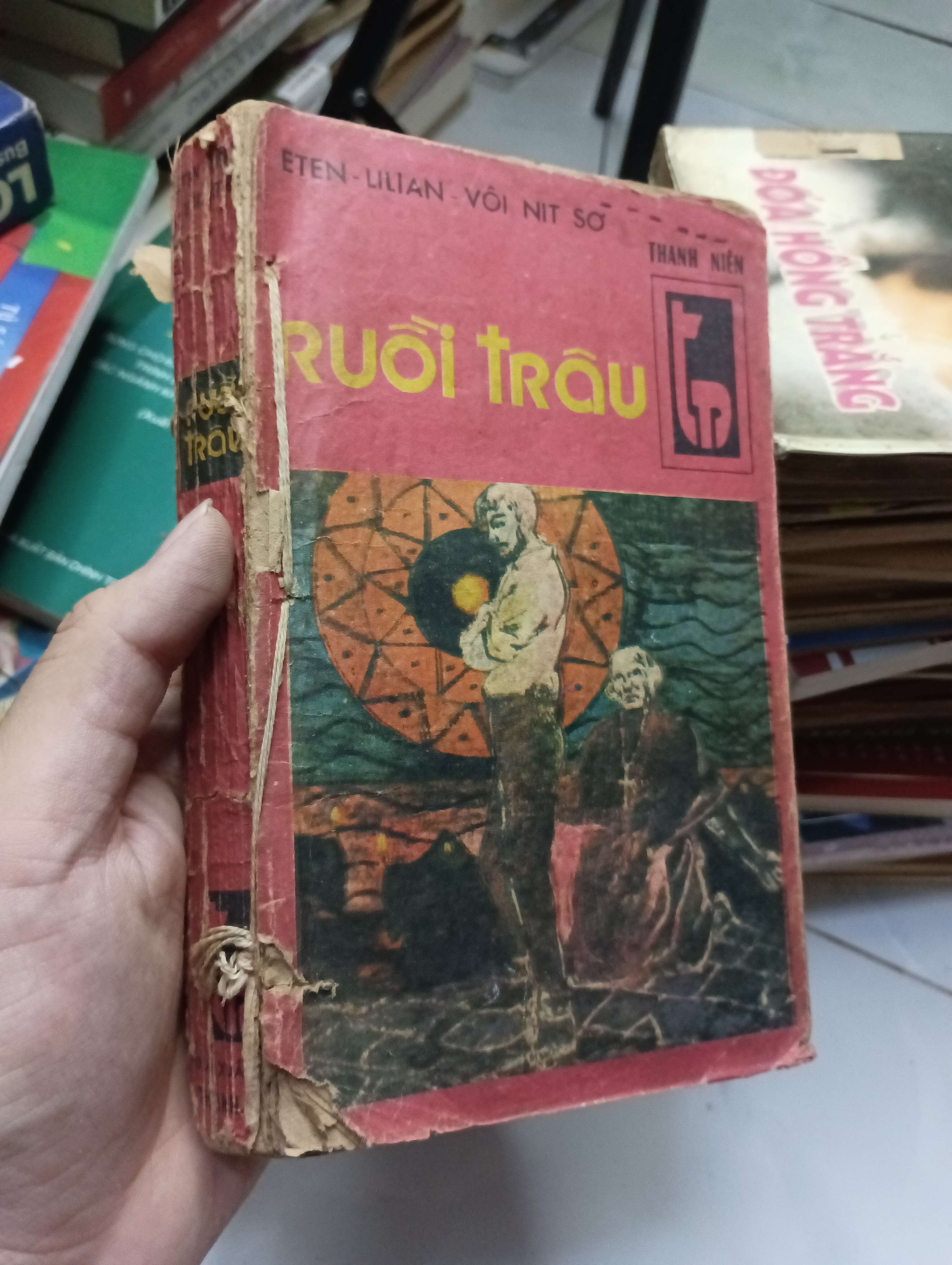 Ruồi trâu - (Eten - Lilian Vôi Nit Sơ) 70% rách bìa sau gáy xấu (Văn học nước ngoài) HLSC