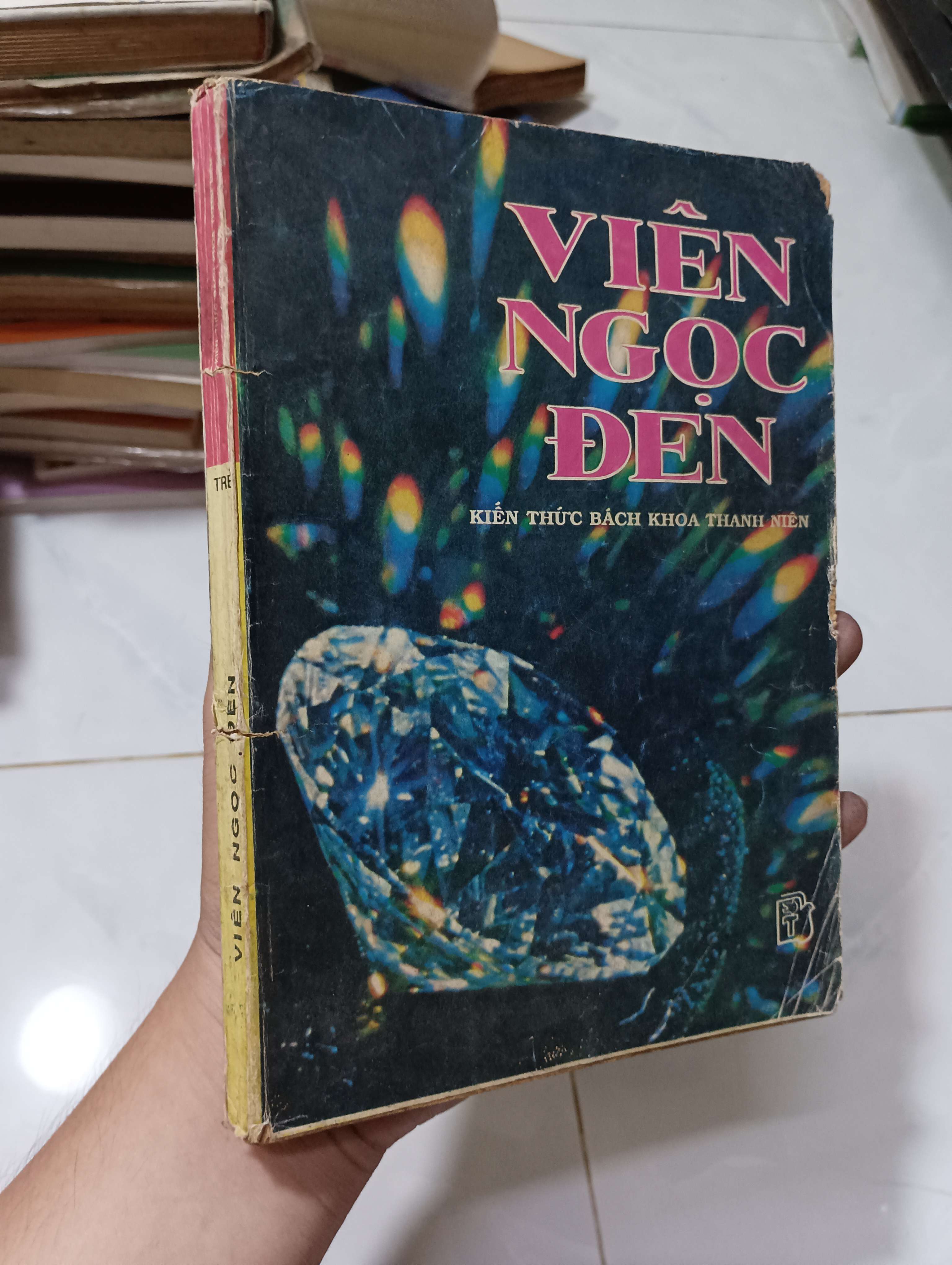 Viên Ngọc Đen 1991 70% ố bìa xấu (Sách kiến thức tổng hợp) HLSC