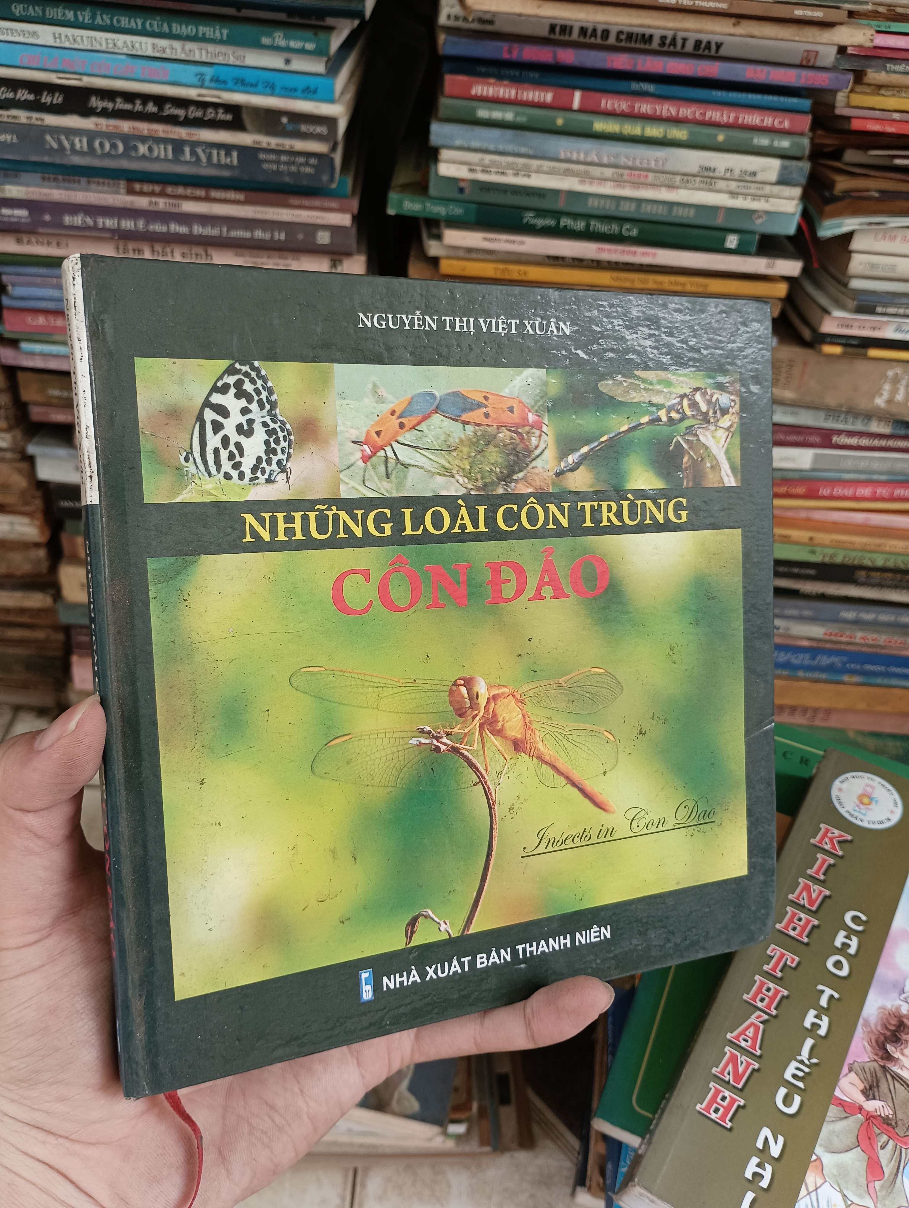 Những Loài Côn Trùng Côn Đảo - Nguyễn Thị Việt Xuân 2009 (Sách kiến thức tổng hợp) BGB