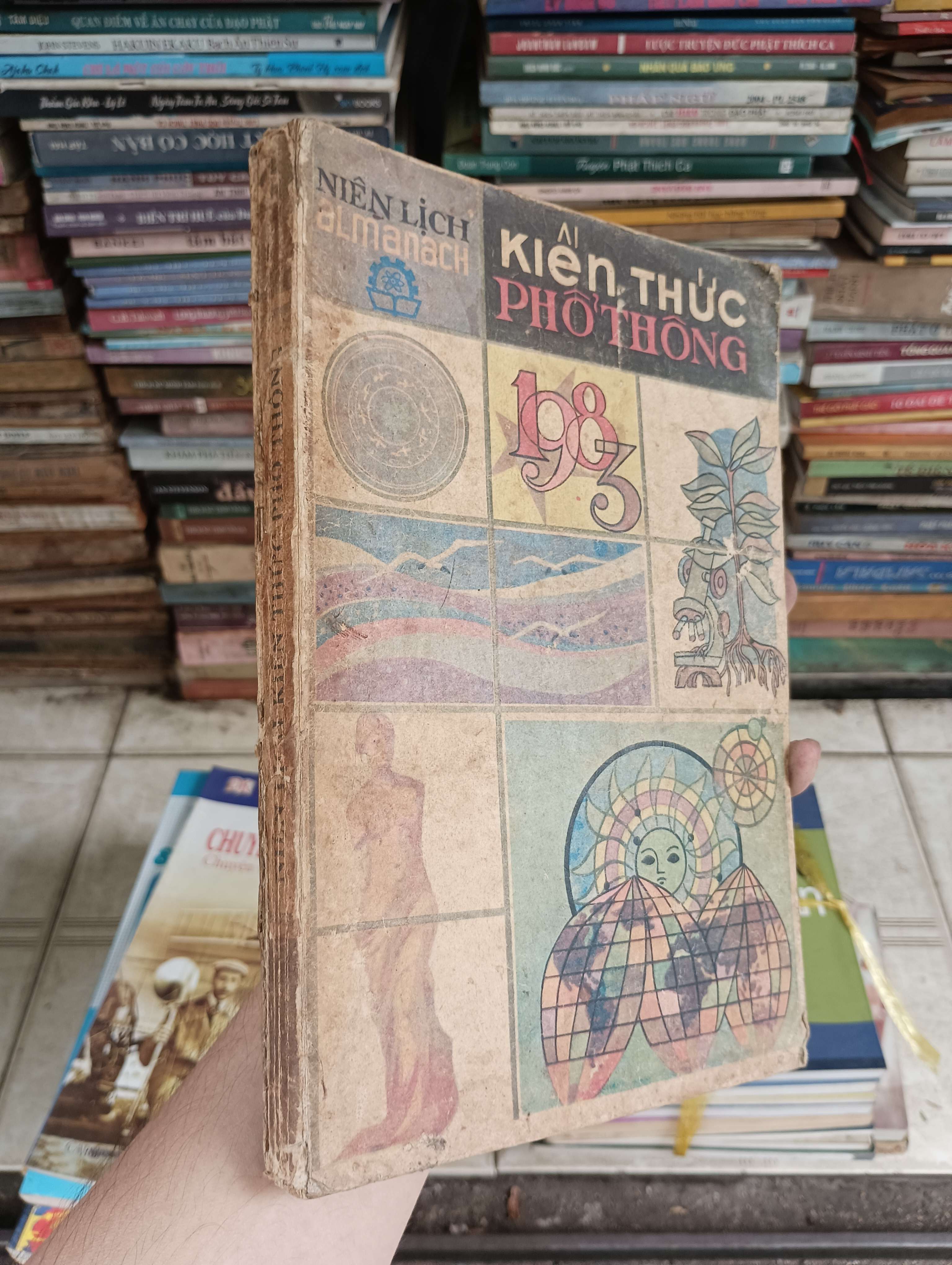 Kiến thức phổ thồng: Niên Lịch 1982 (Sách kiến thức tổng hợp) BGB