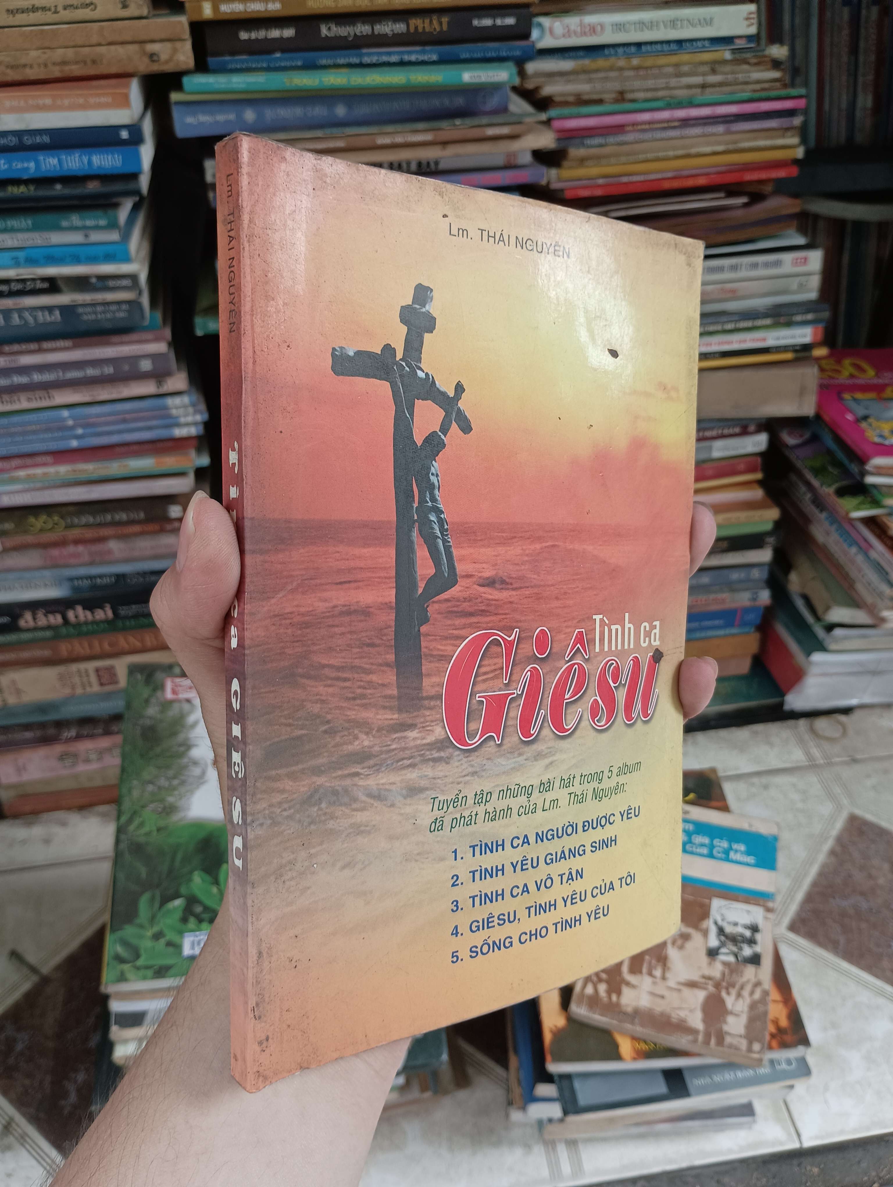 Tình ca Giêsu - Lm. Thái Nguyên (Sách tôn giáo - tâm linh) BGB