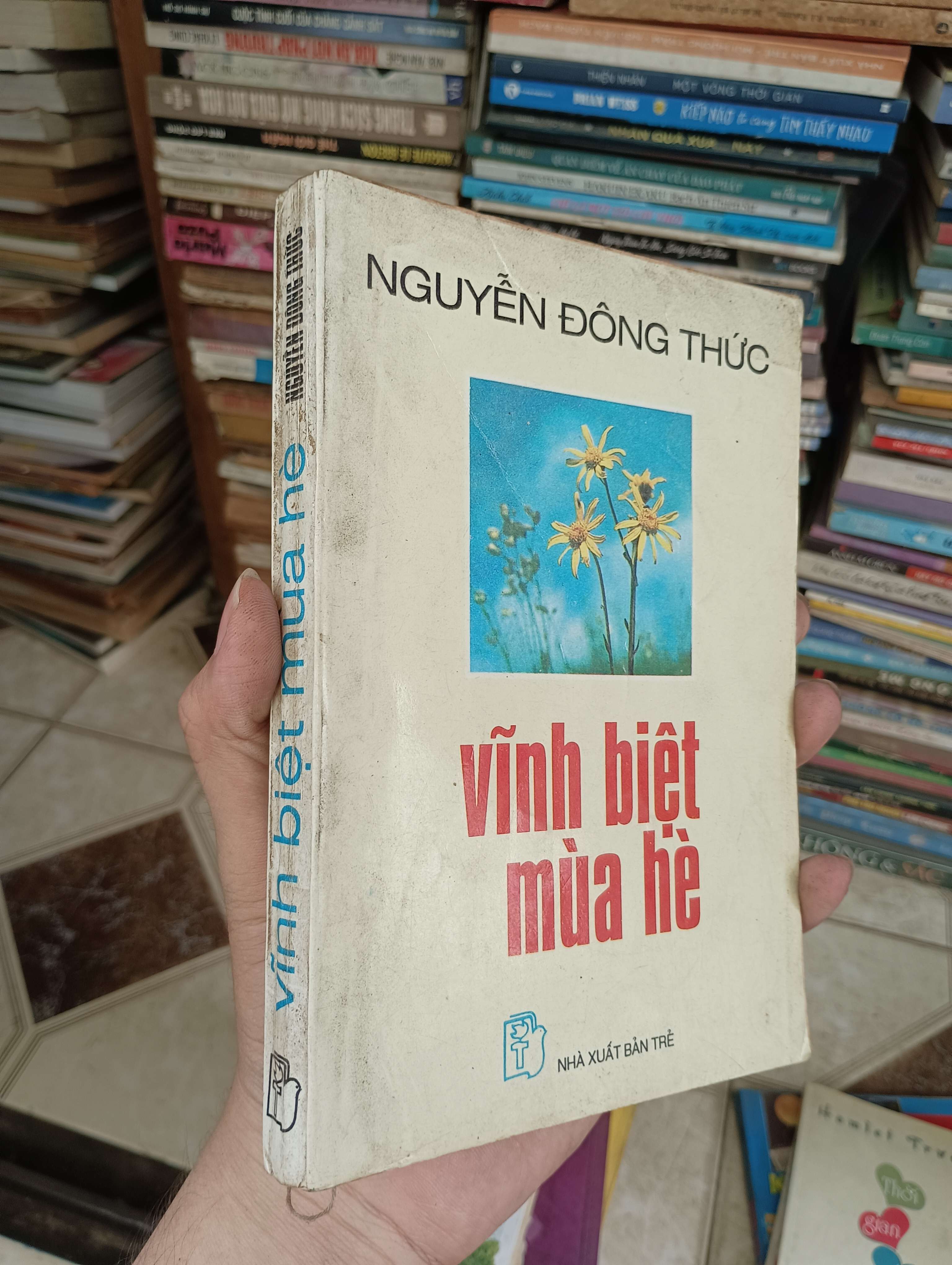 Vĩnh biệt mùa hè - Nguyễn Đông Thức 1996 (Văn học Việt Nam) BGB