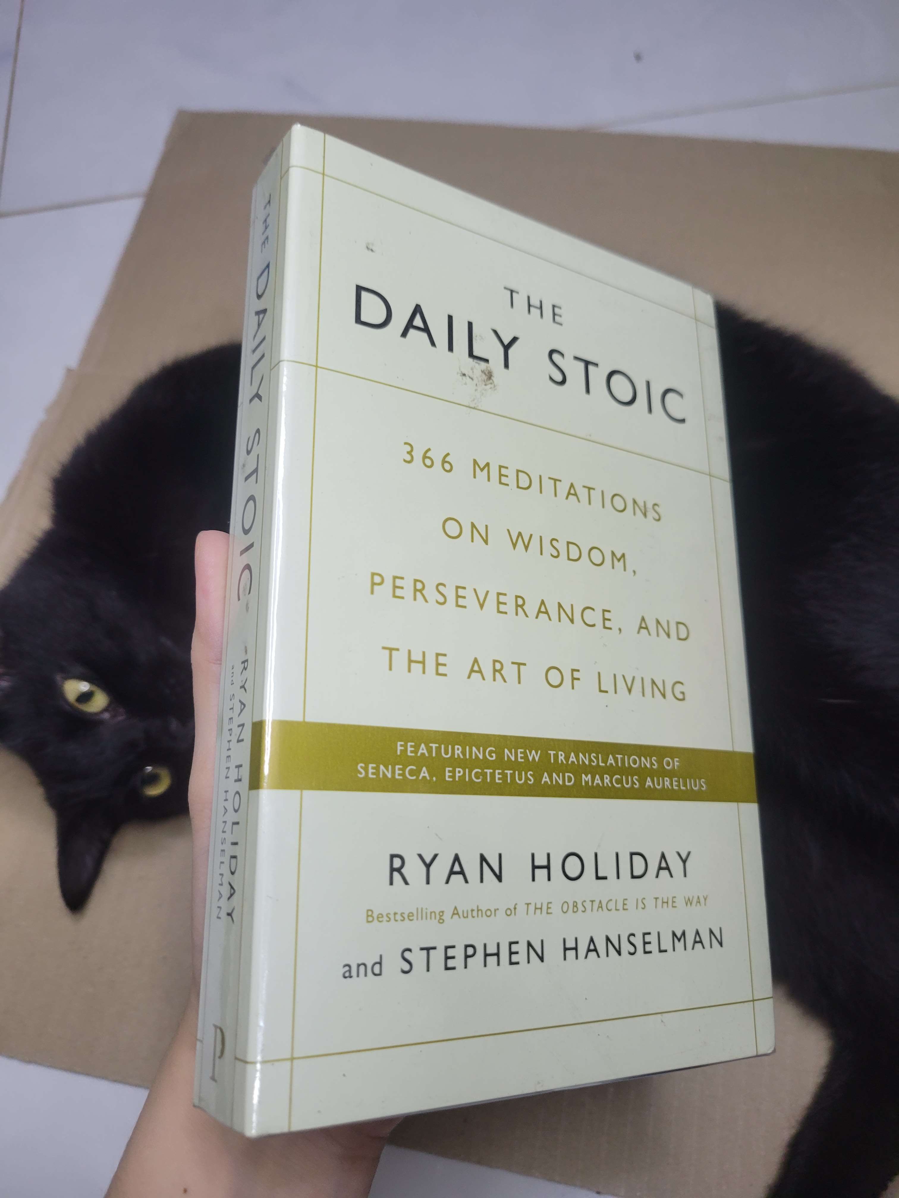 THE DAILY STOIC - Ryan Holiday & Stephen Hanselman mới 90% bẩn seal (Sách ngoại) HCM