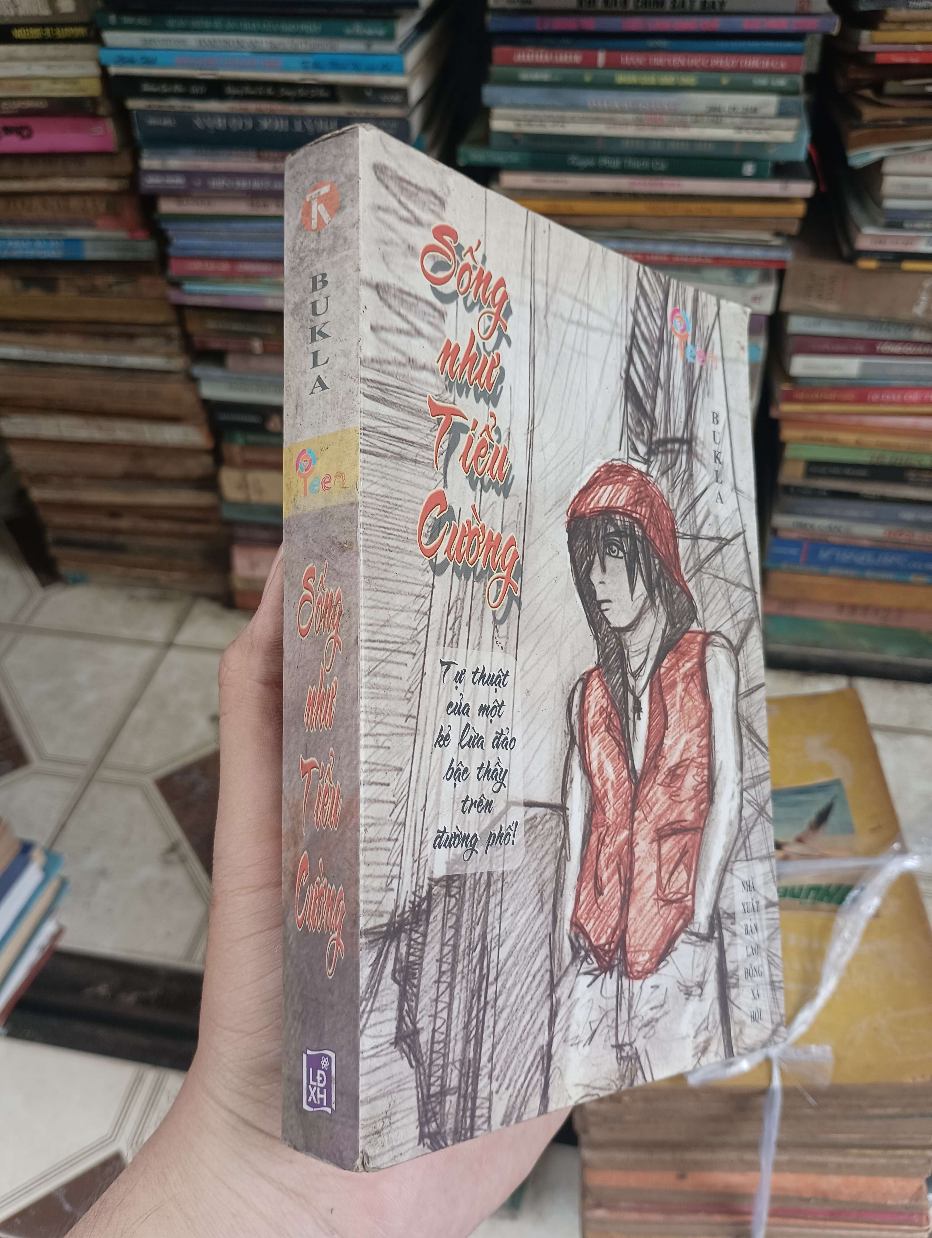 Sống như Tiểu Cường 2008 (Tiểu Thuyết) BGB