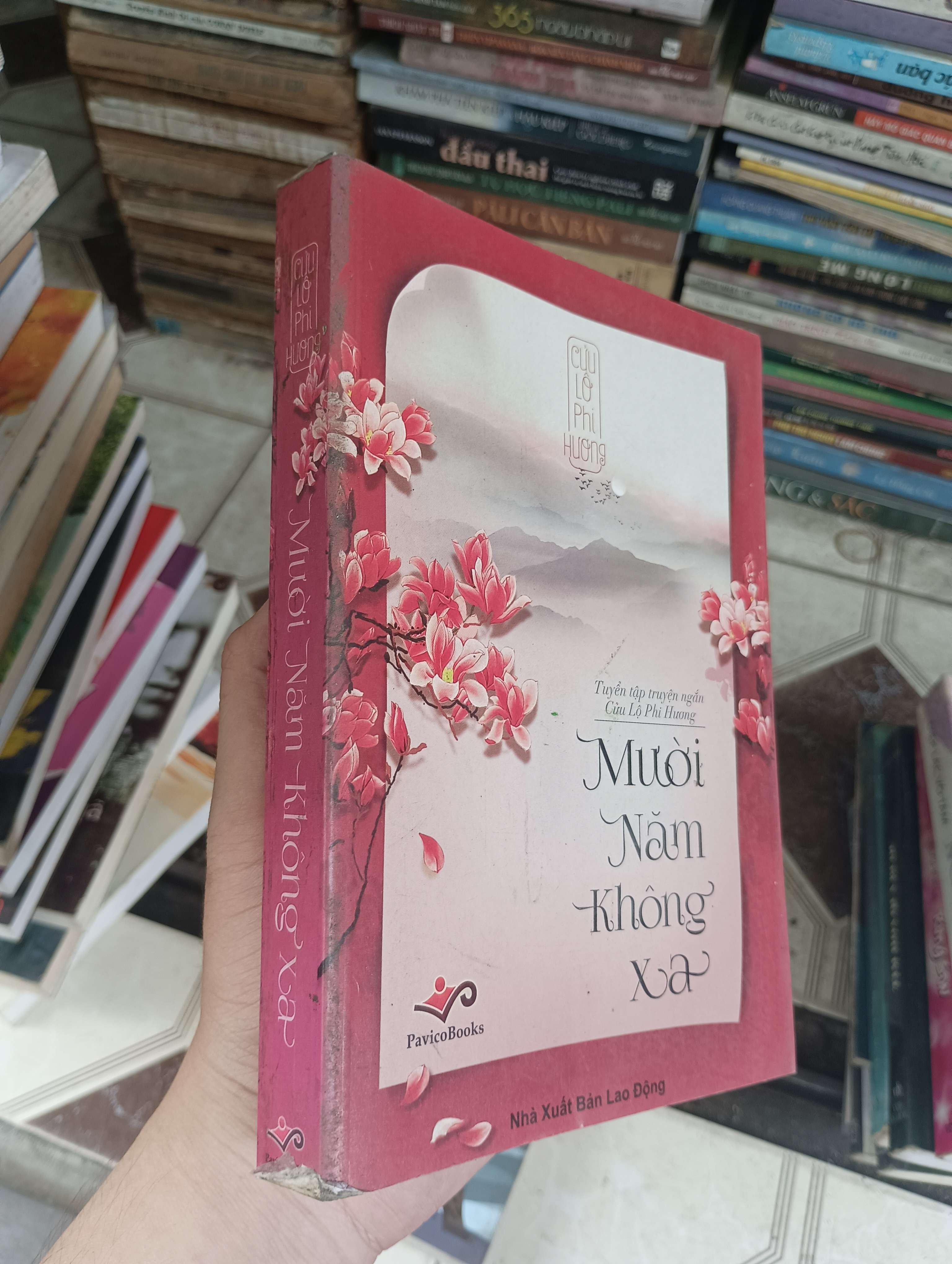 Mười Năm Không Xa - Cửu Lộ Phi Hương 2014 (Tiểu Thuyết) BGB