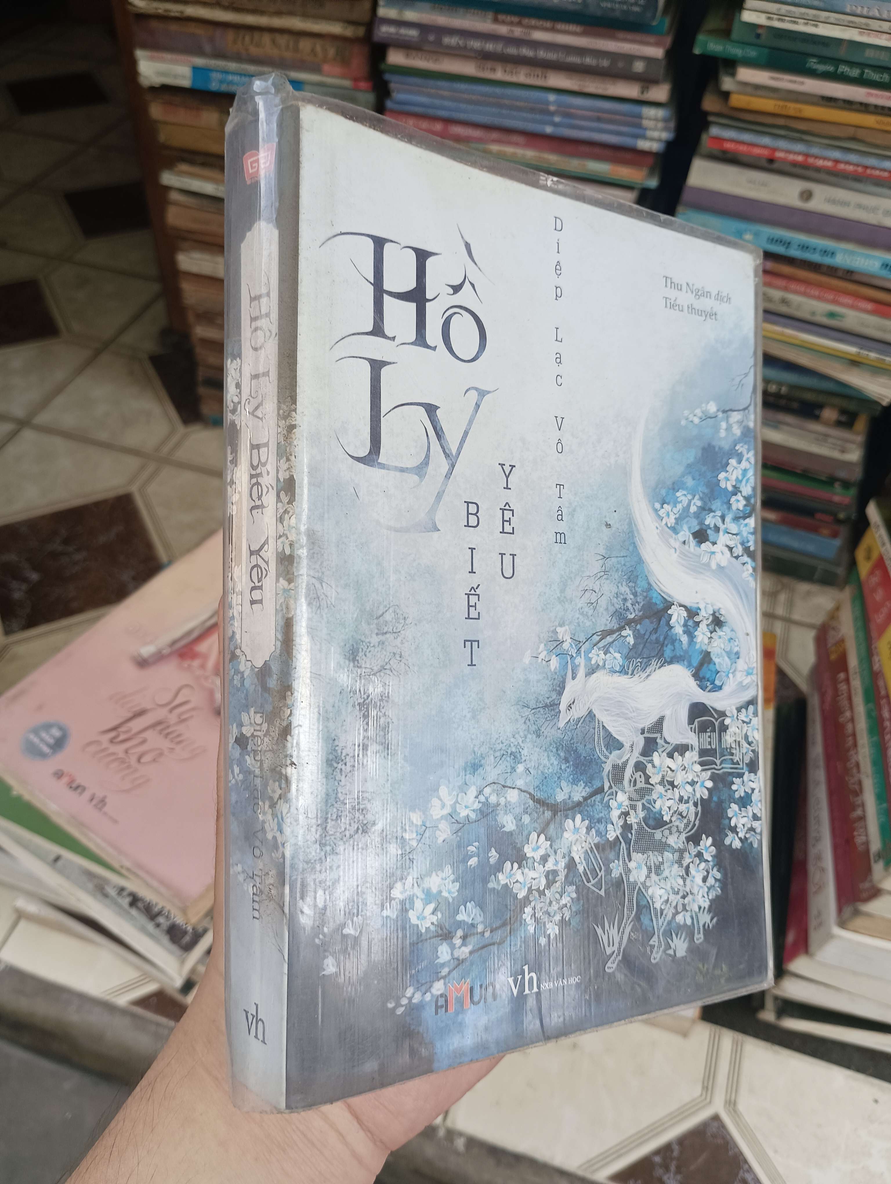 Hồ Ly Biết Yêu - Diệp Lạc Vô Tâm 2019 (Tiểu Thuyết) BGB