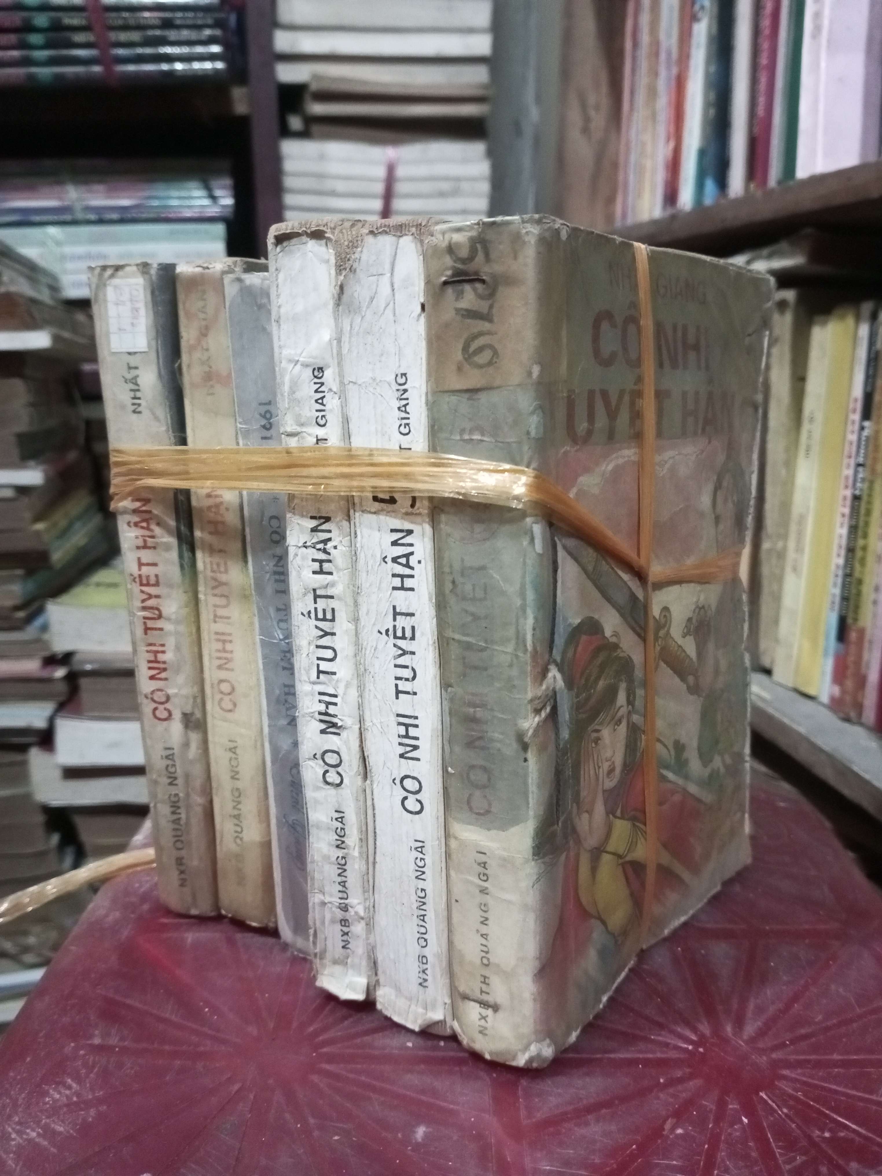 6 cuốn Cô Nhi Tuyết Hận - Nhất Giang (Văn học nước ngoài) BGB