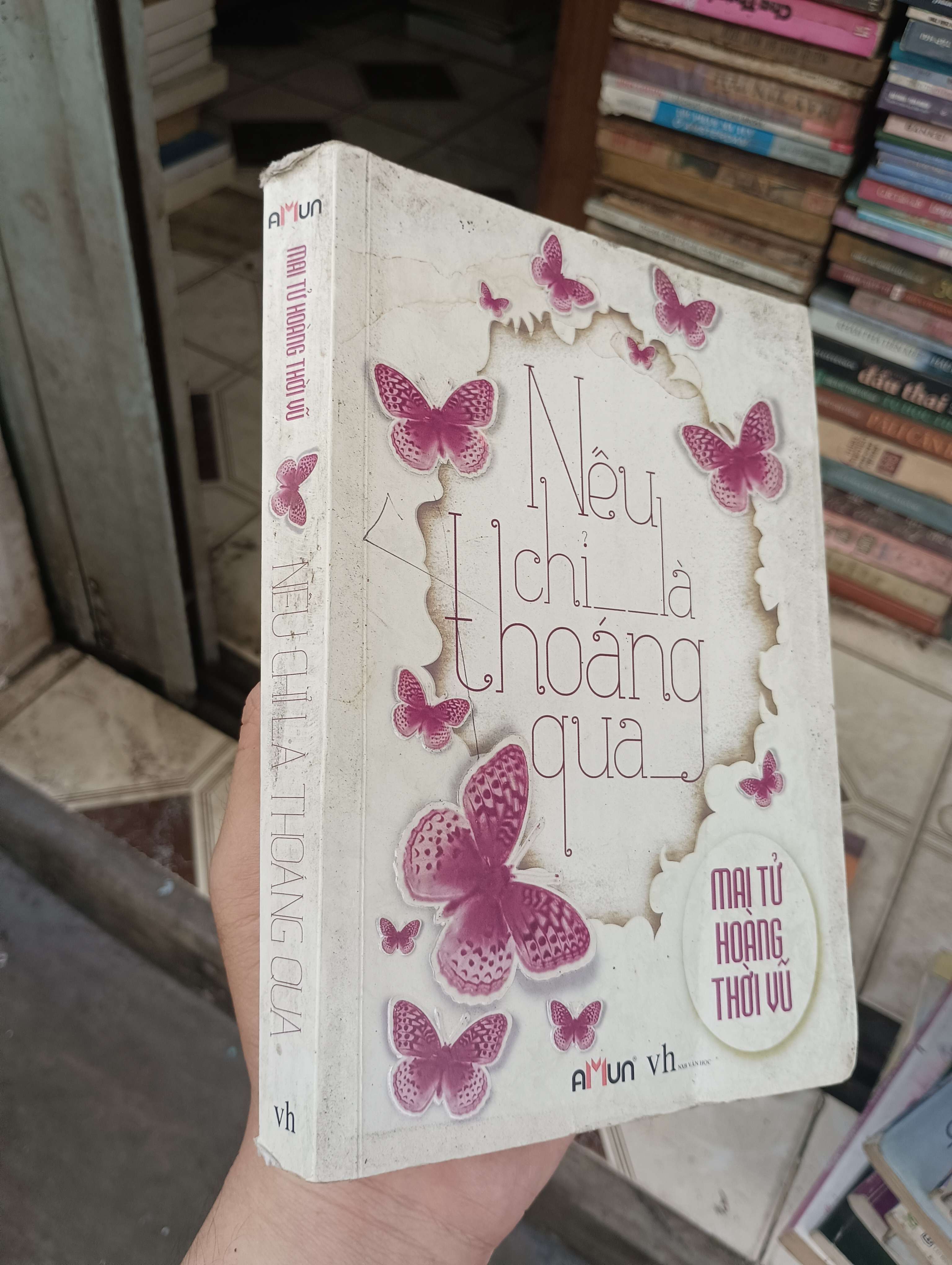 Nếu chỉ là thoáng qua - Mai Tử Hoàng Thời Vũ 2013 (Tiểu Thuyết) BGB