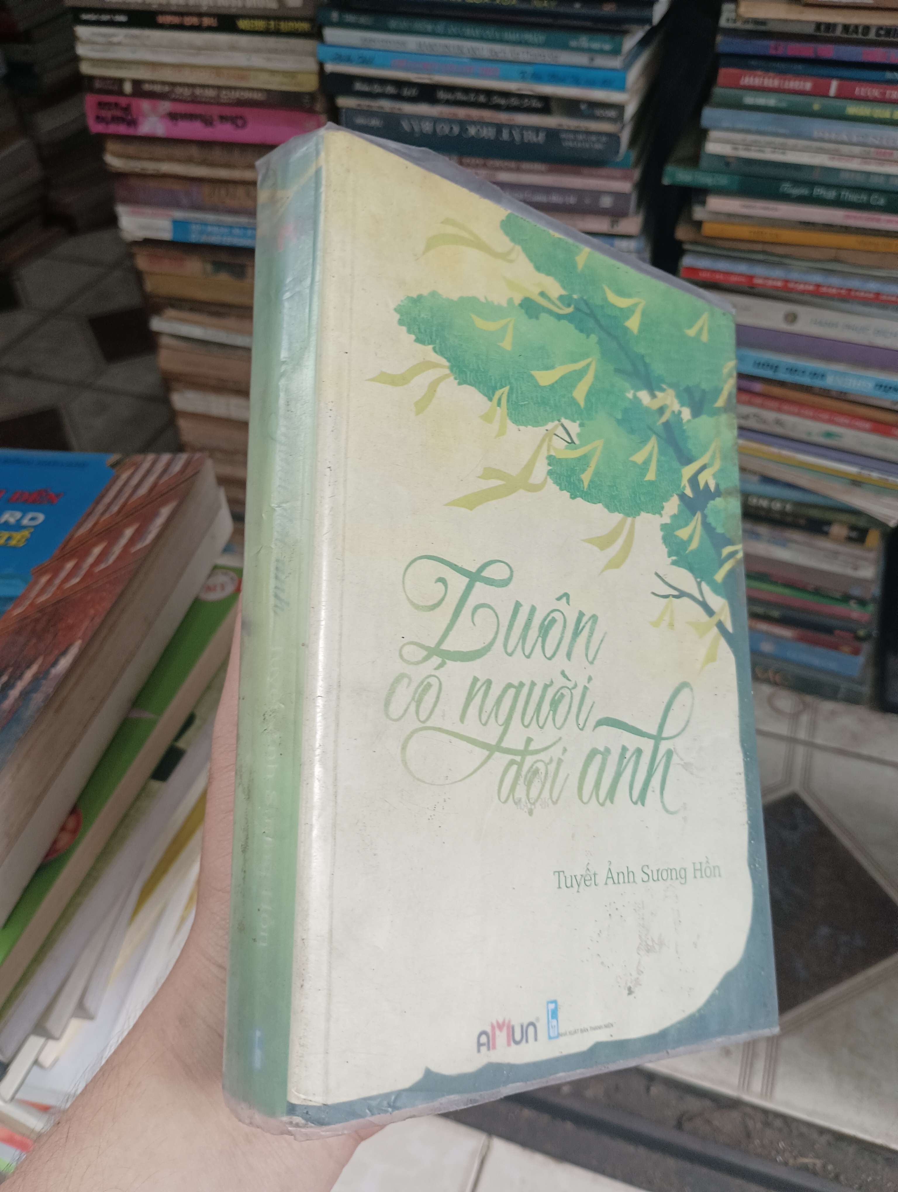 Luôn có người đợi anh - Tuyết Ảnh Sương Hồn 2014 (Tiểu Thuyết) BGB